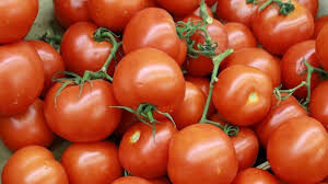 El Gobierno canario apoya dotar al tomate canario del distintivo europeo de calidad