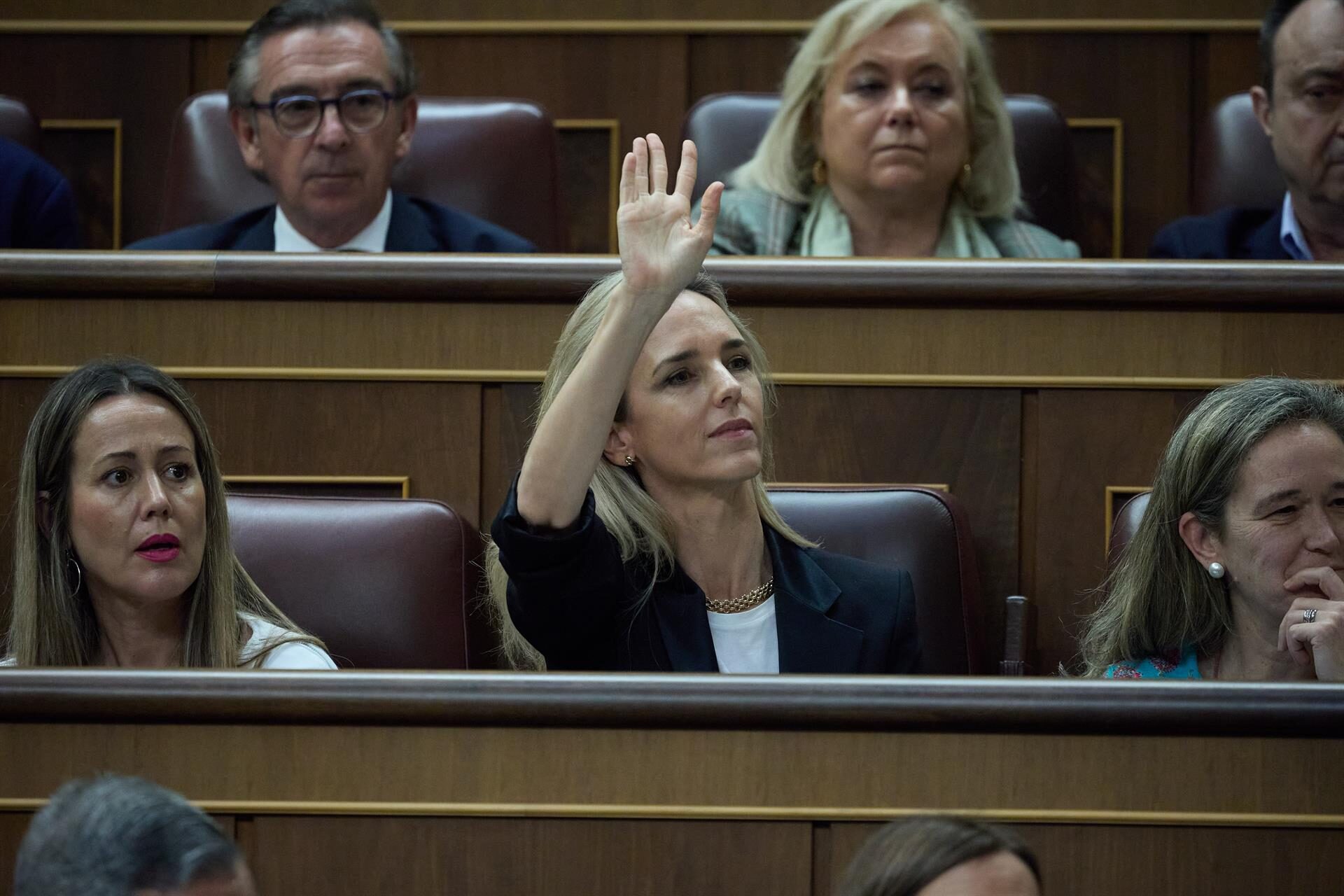 El PP avisa que la «sumisión perruna» del PSOE a Sánchez es un «suicidio» y deben elegir: «Refundación o extinción»