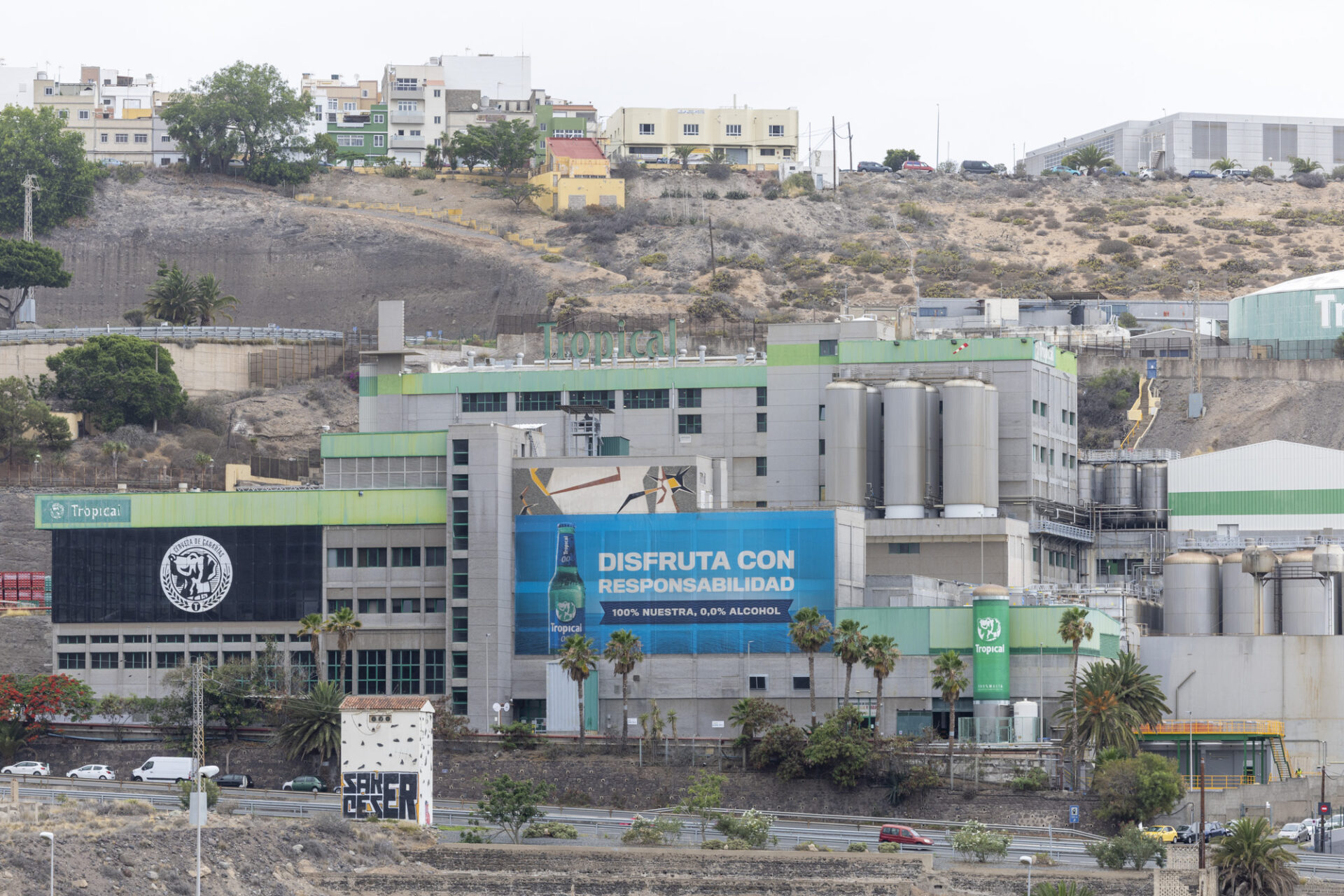 Cervecera de Canarias amplía su oferta de cerveza sin alcohol ante el crecimiento constante de la demanda