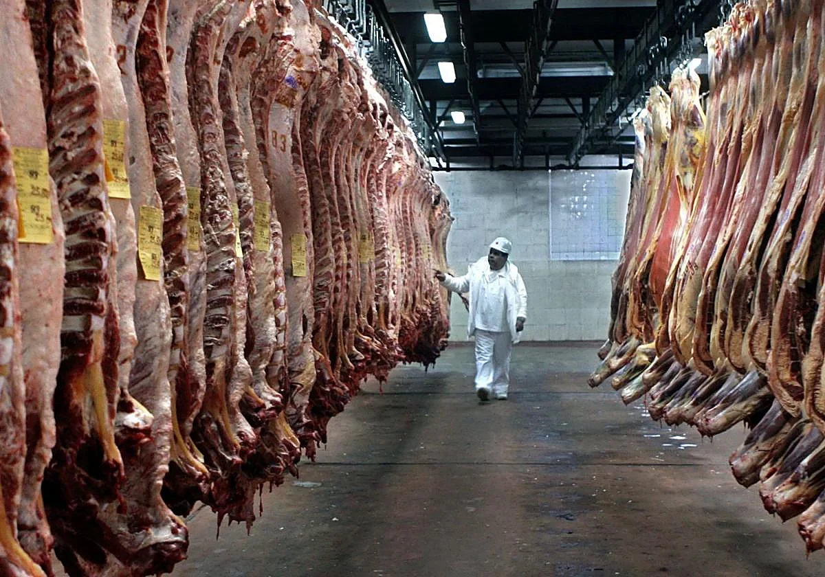 UE reforzará controles sobre pesticidas, antibióticos y hormonas en Mercosur