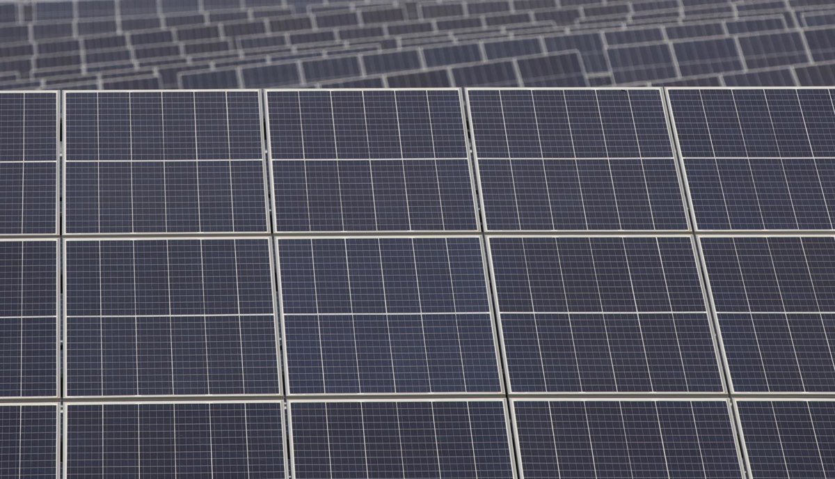 Sumar pide un organismo asesor nacional para garantizar que la instalación de plantas solares no afectan a aves