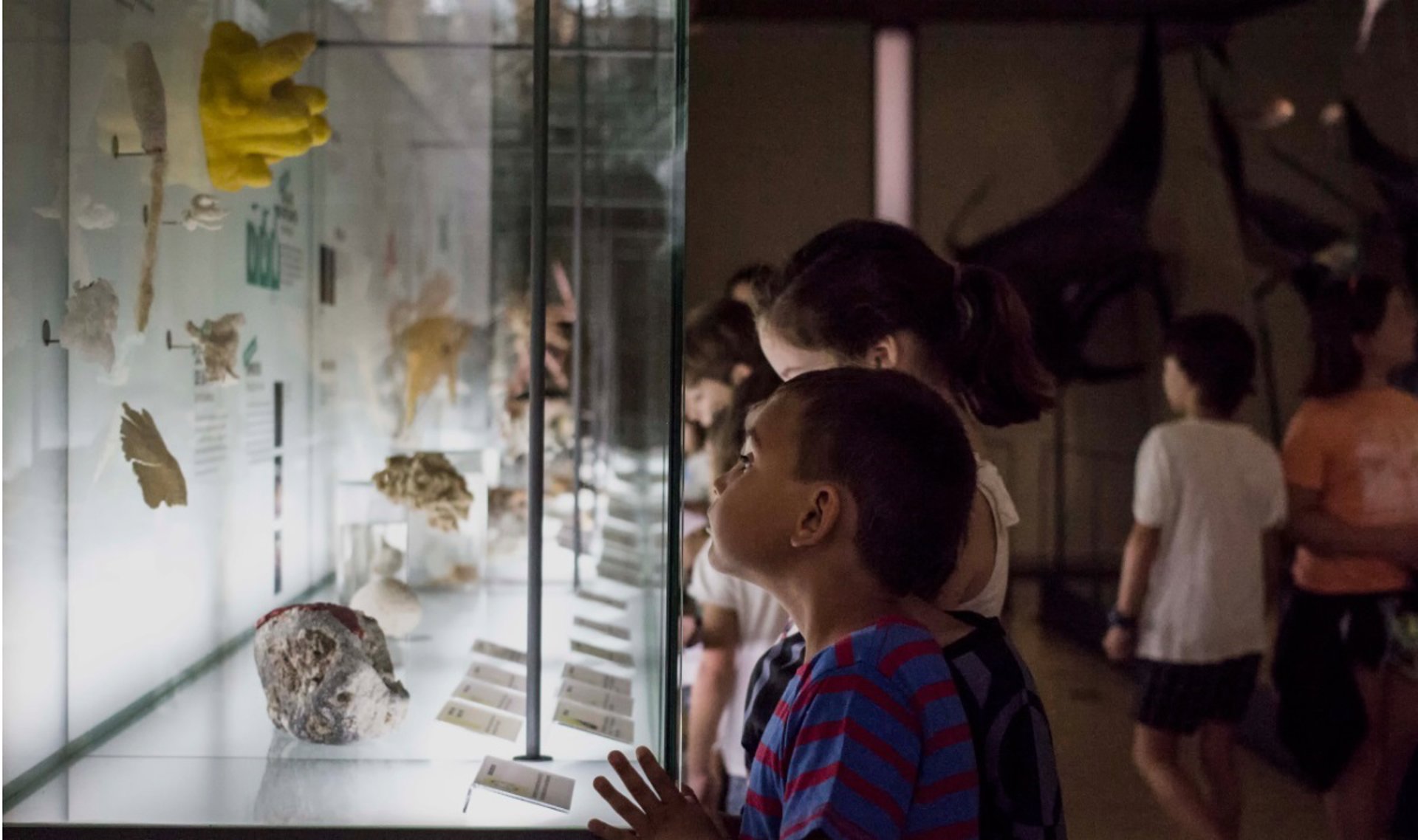 Tenerife abre sus museos a los animales de compañía, una iniciativa en favor de la «convivencia» y pionera en España