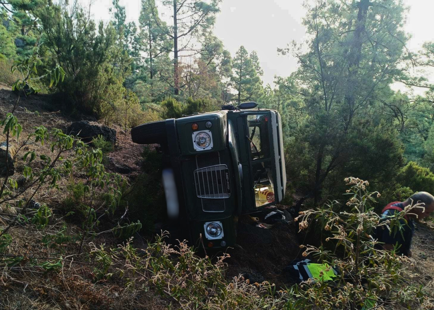 Bomberos de Tenerife intervienen en un fuegode rastrojos en Güímar