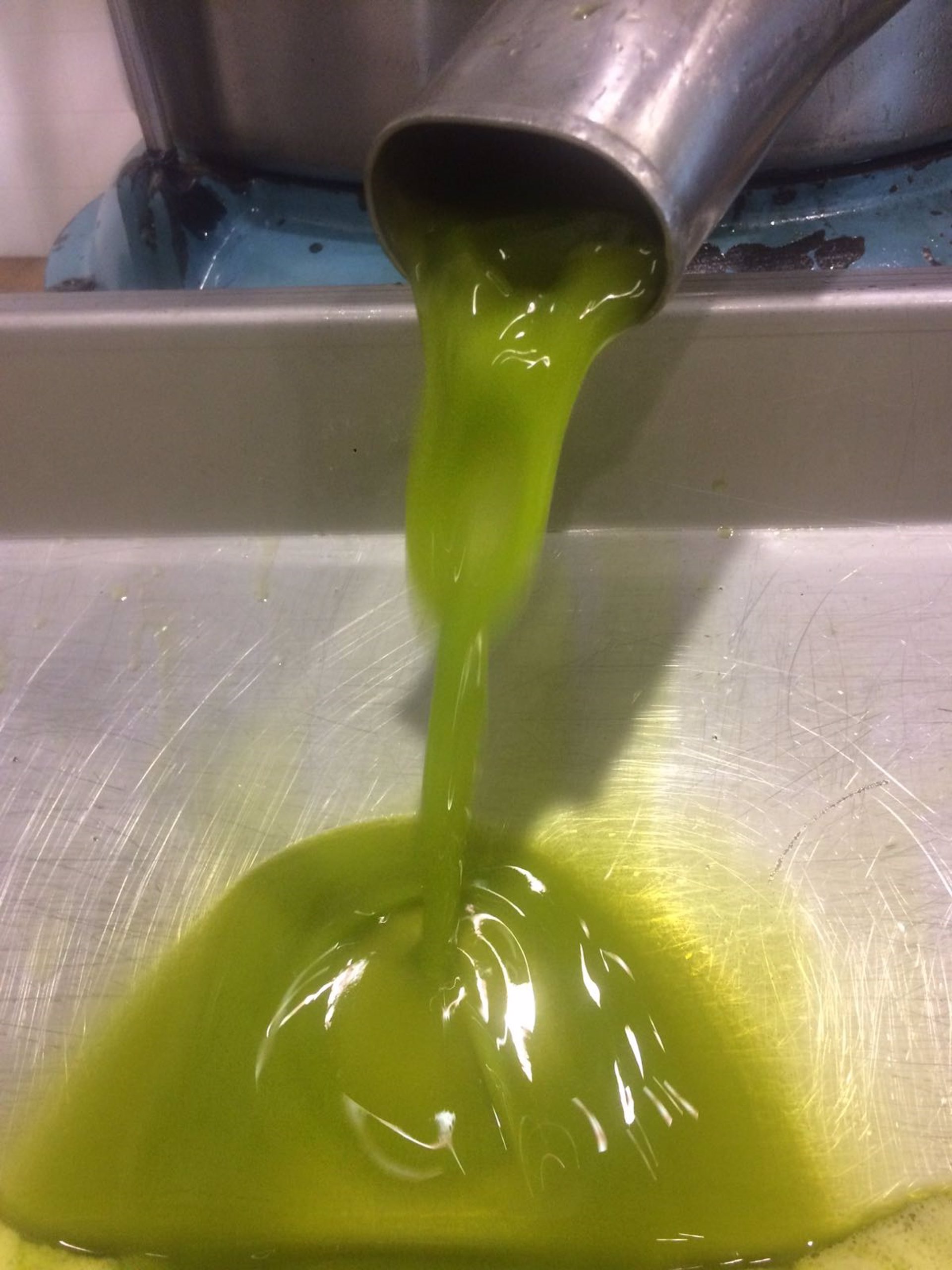La producción acumulada de más de 1,2 millones de toneladas de aceite de oliva confirma los aforos