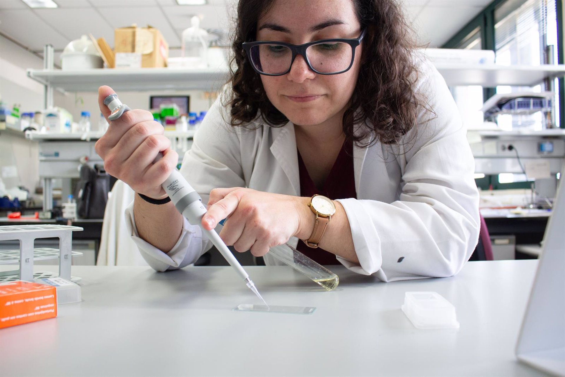 Un estudio revela como las bacterias se mueven y «logran colonizar suelos agrícolas y organismos vivos»