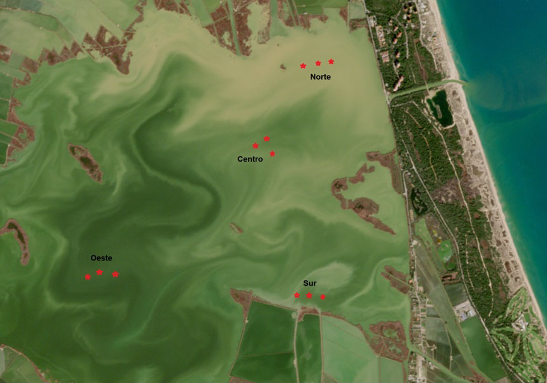 La dana provocó en un día el volumen de sedimentación habitual de 30 años en la Albufera, según un estudio