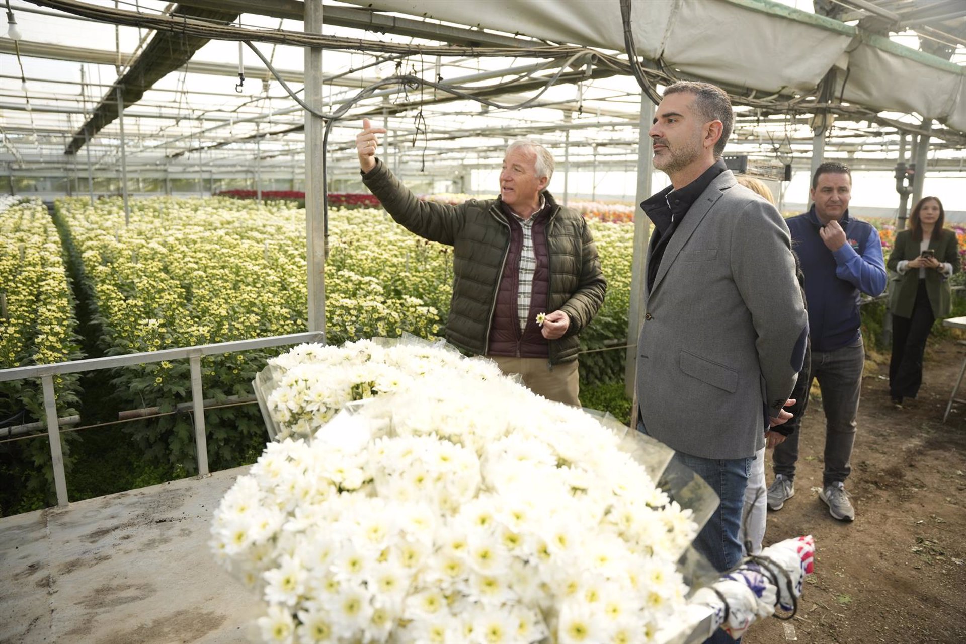 Andalucía pide a Planas que «pelee en Bruselas» para reconocer a la flor cortada como OPFH