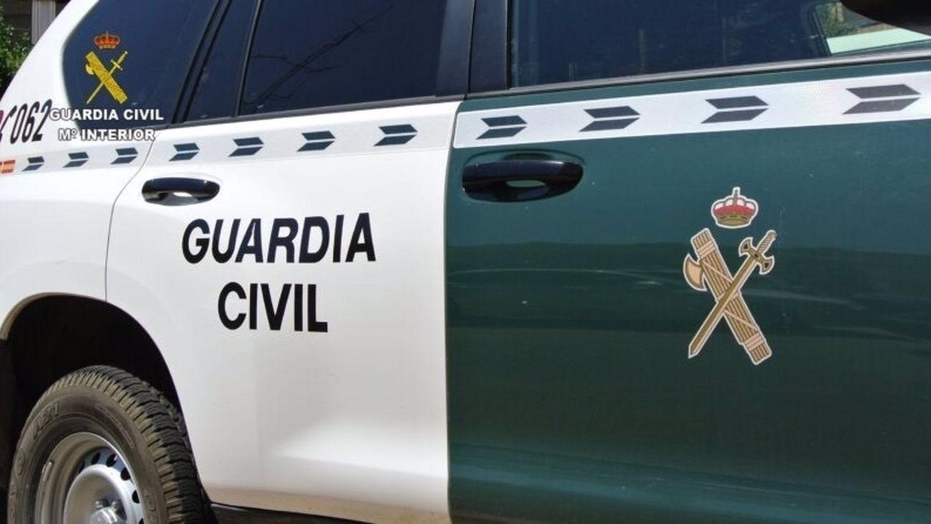 Investigado por arrojar a tres cachorros de perro a un contenedor de basuras en Collado Mediano