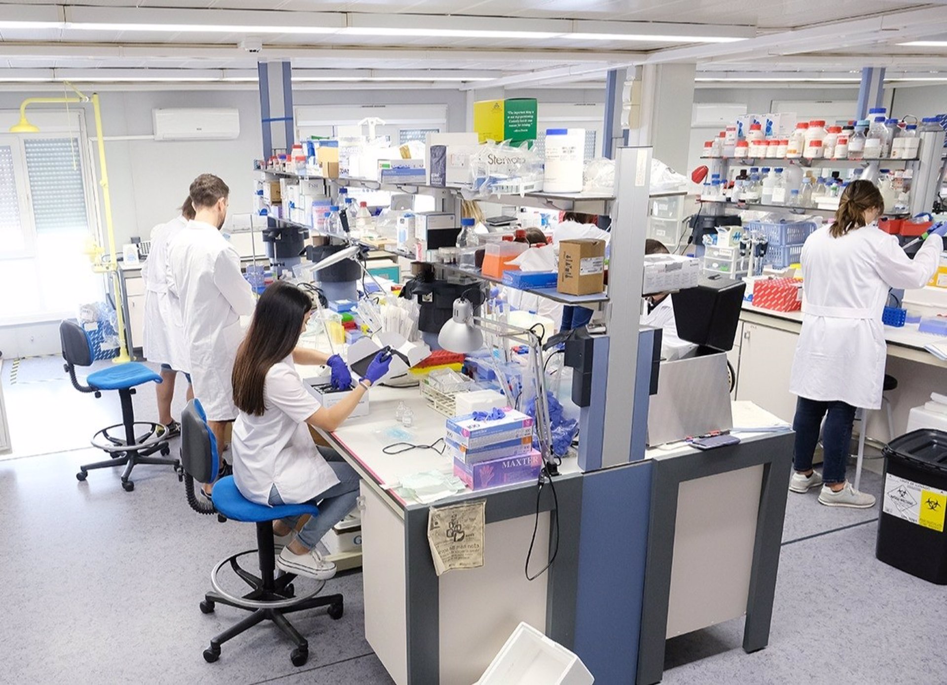 Demuestran el papel del succinato en el desarrollo de las enfermedades inflamatorias intestinales