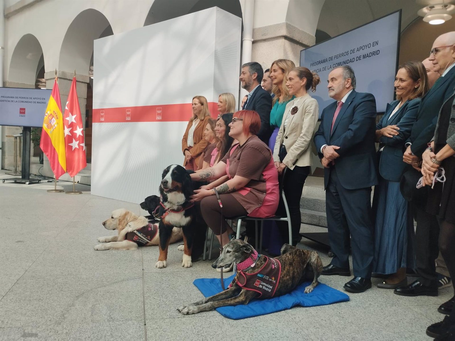La labor de los perros de apoyo en juzgados para menores: crece un 25% en 2024 y llegará también a mujeres víctimas