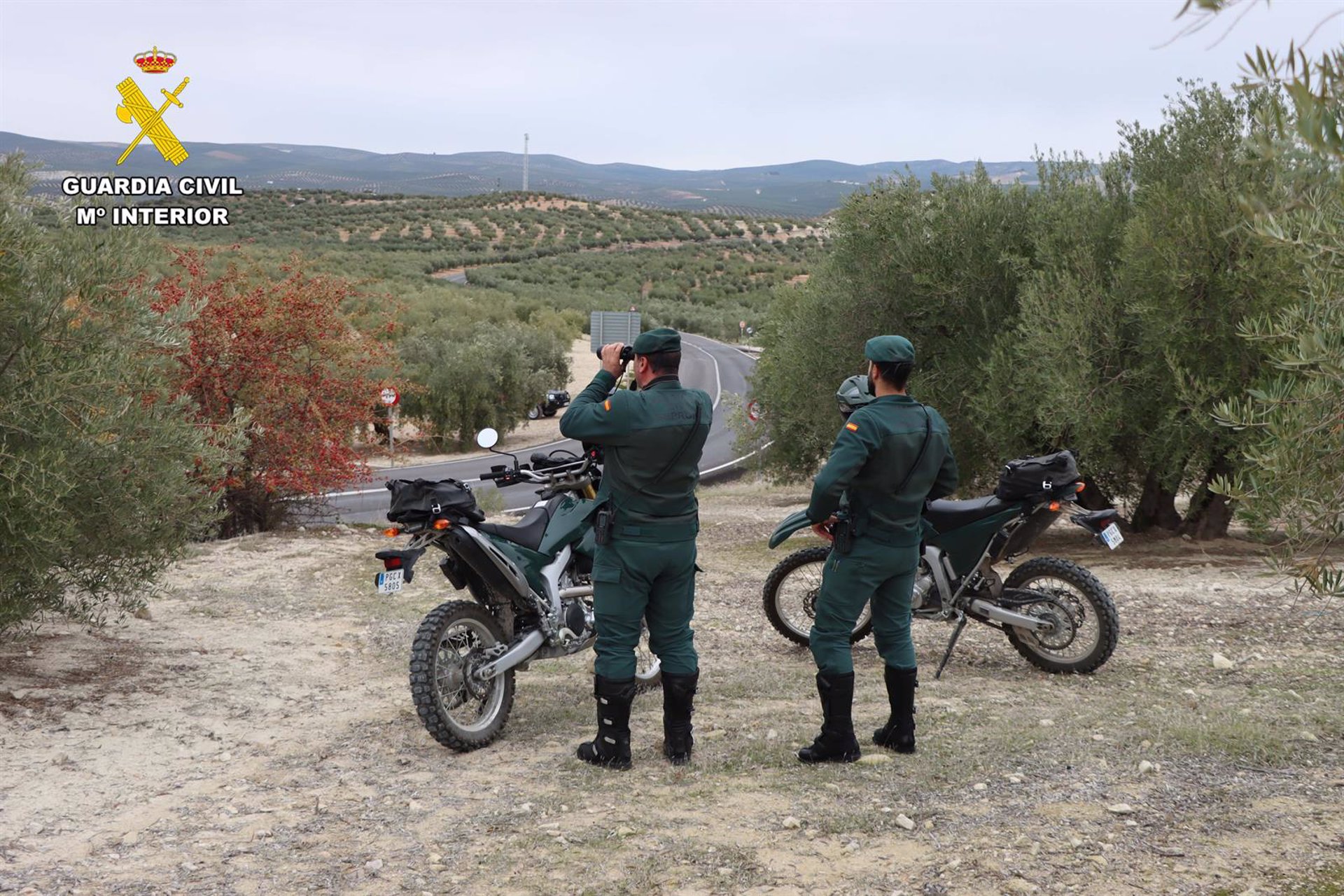 Investigado el dueño de una finca por presunto maltrato a varios perros de los cuales tres murieron