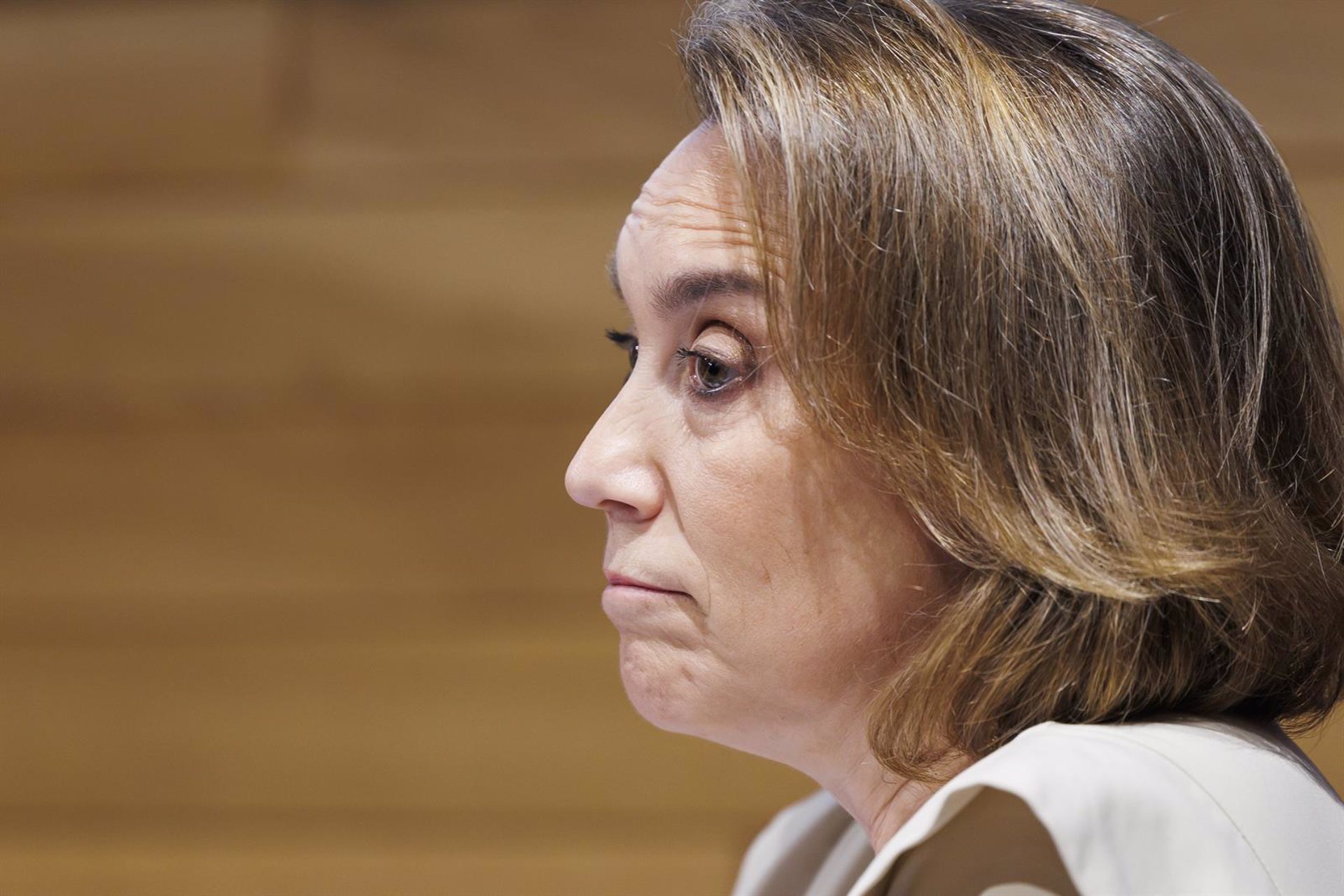 Gamarra insta al Gobierno a asumir responsabilidades por el apagón y la incidencia en trenes «en vez de insultar al PP»