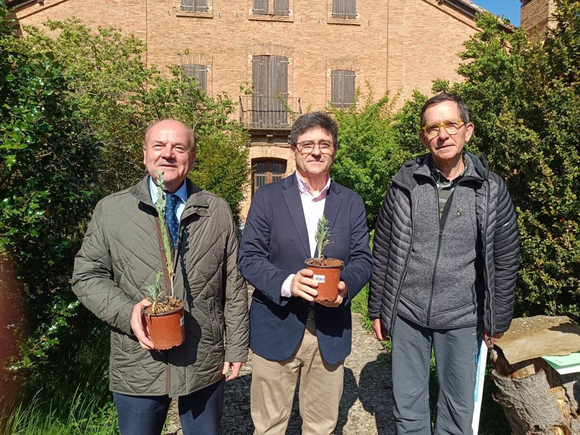 Aragón reintroduce la desaparecida planta ‘Fibigia clypeata’ en el Paisaje Protegido de San Juan de la Peña (Huesca)