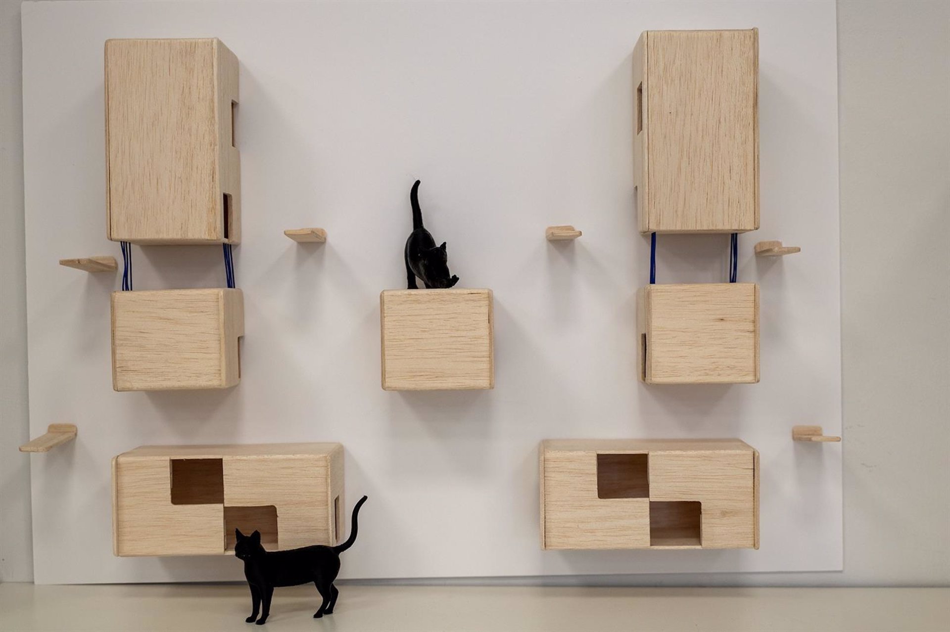 Estudiantes diseñan refugios para gatos de colonias urbanas integradas en el entorno y que priorizan el bienestar animal