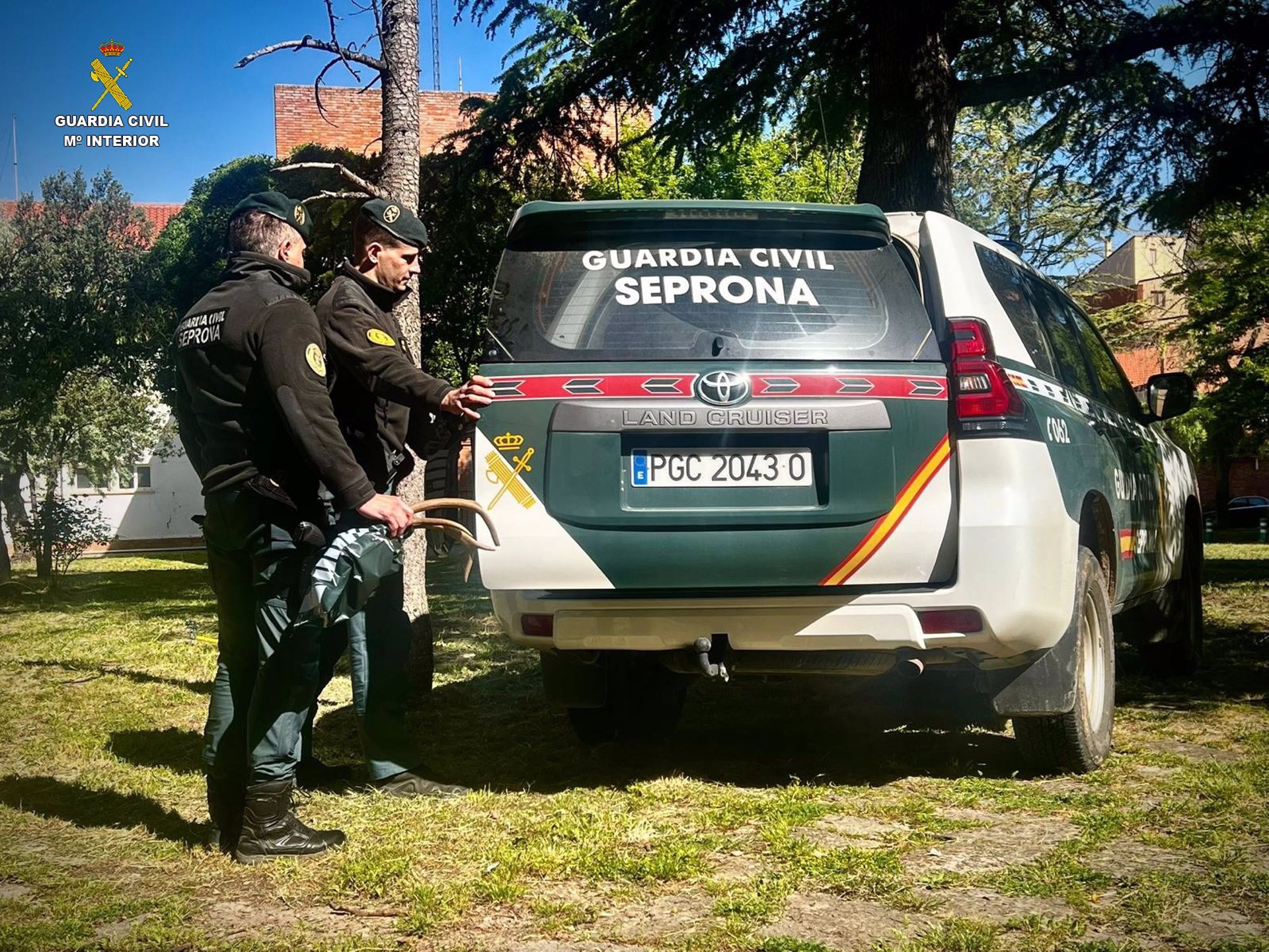 Investigan a un joven de 20 años de Cuenca por guardar 15 trofeos de caza mayor en un arcón frigorífico