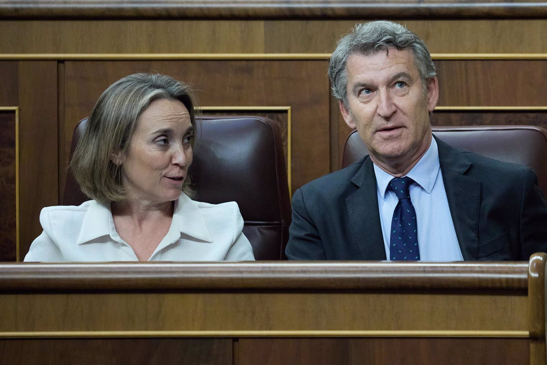Feijóo ve la moción de censura «abocada al fracaso» y avisa: «Que coincidan Sánchez y Vox es cuando menos sospechoso»