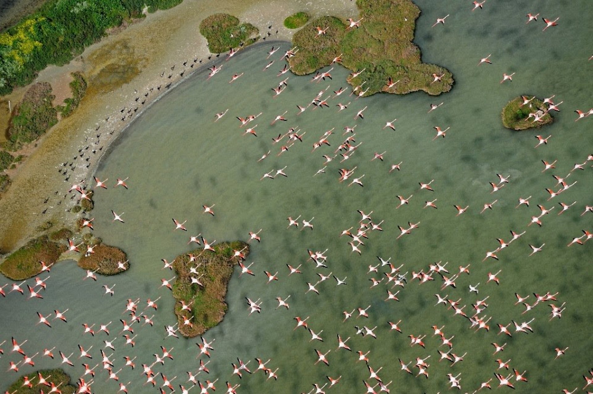 Unesco quiere que España tome medidas para que el acuífero de Doñana no entre en la Lista del Patrimonio en Peligro