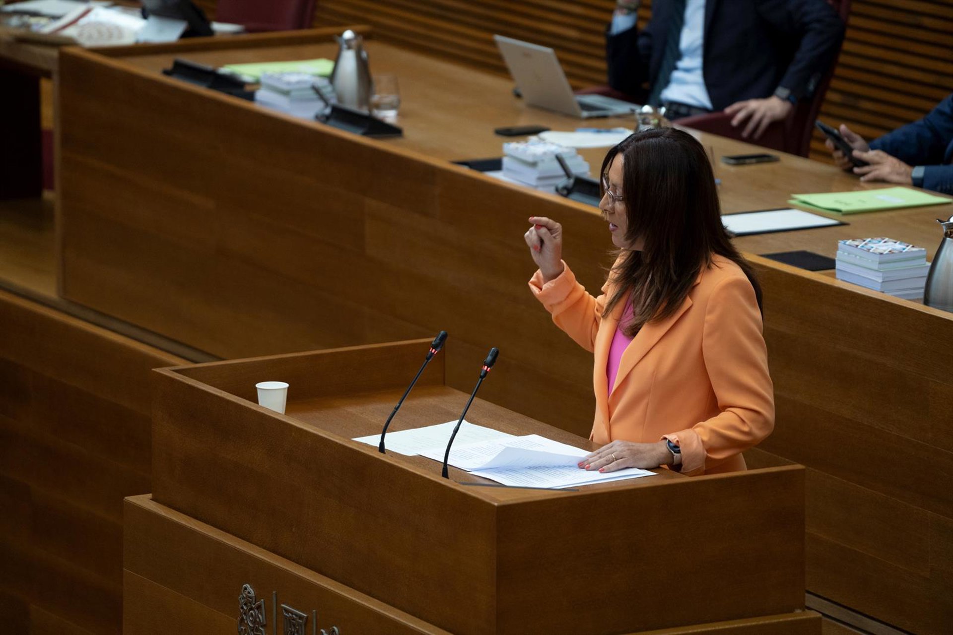 PSPV afirma que el Consell tenía «todos los datos» del desbordamiento del Poyo e hizo «caso omiso» a llamadas al 112