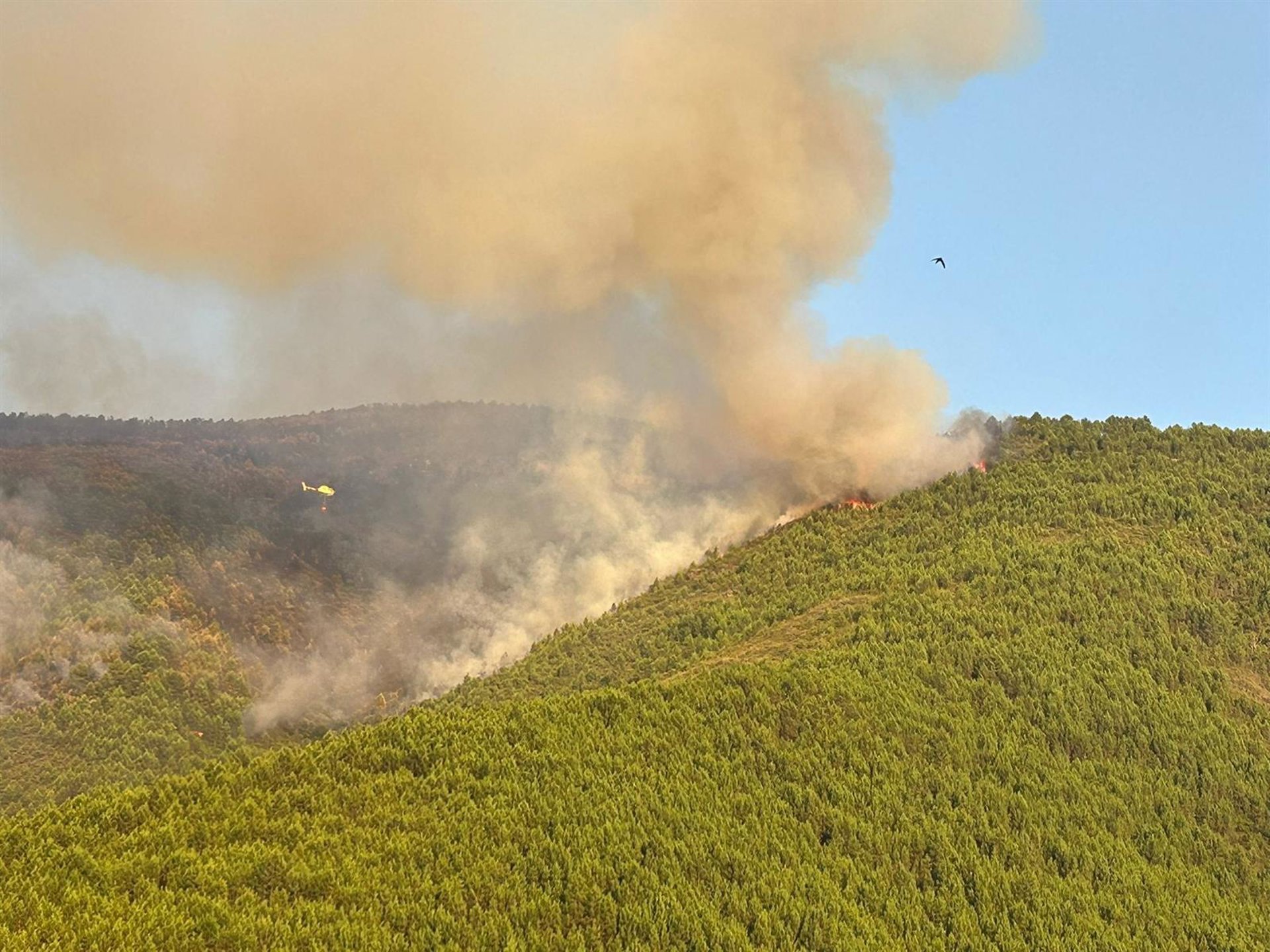 Los efectivos del incendio en Las Hurdes se centran la zona de Avellanar, tras consolidar el 70% del perímetro