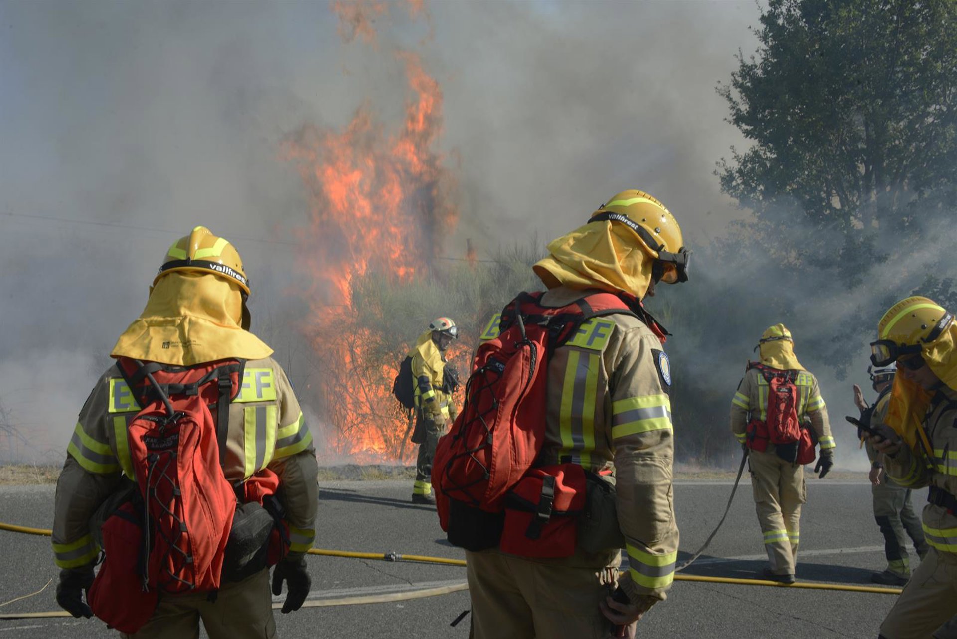 Detienen al presunto autor de varios incendios en Ourense tras sorprenderlo cuando provocaba uno el martes