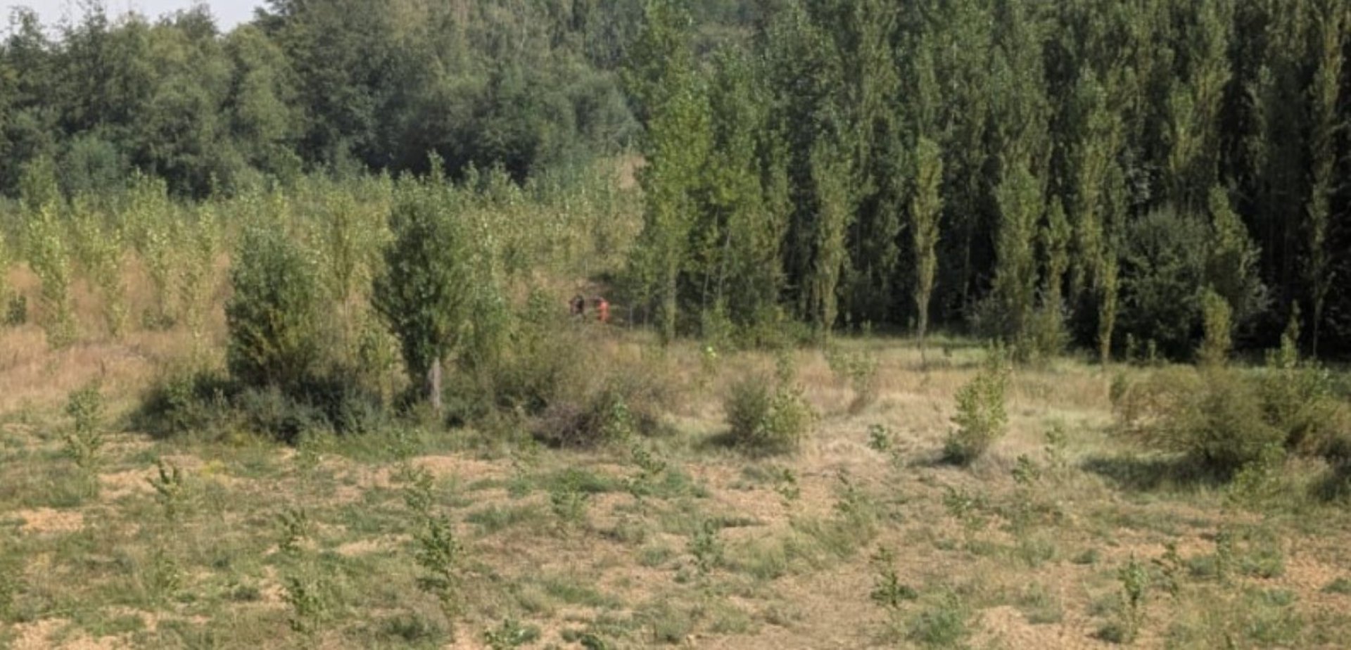 Sucesos-Evacuan en helicóptero a un hombre indispuesto tras sufrir un golpe de calor en en Villanueva del Río (Palencia)