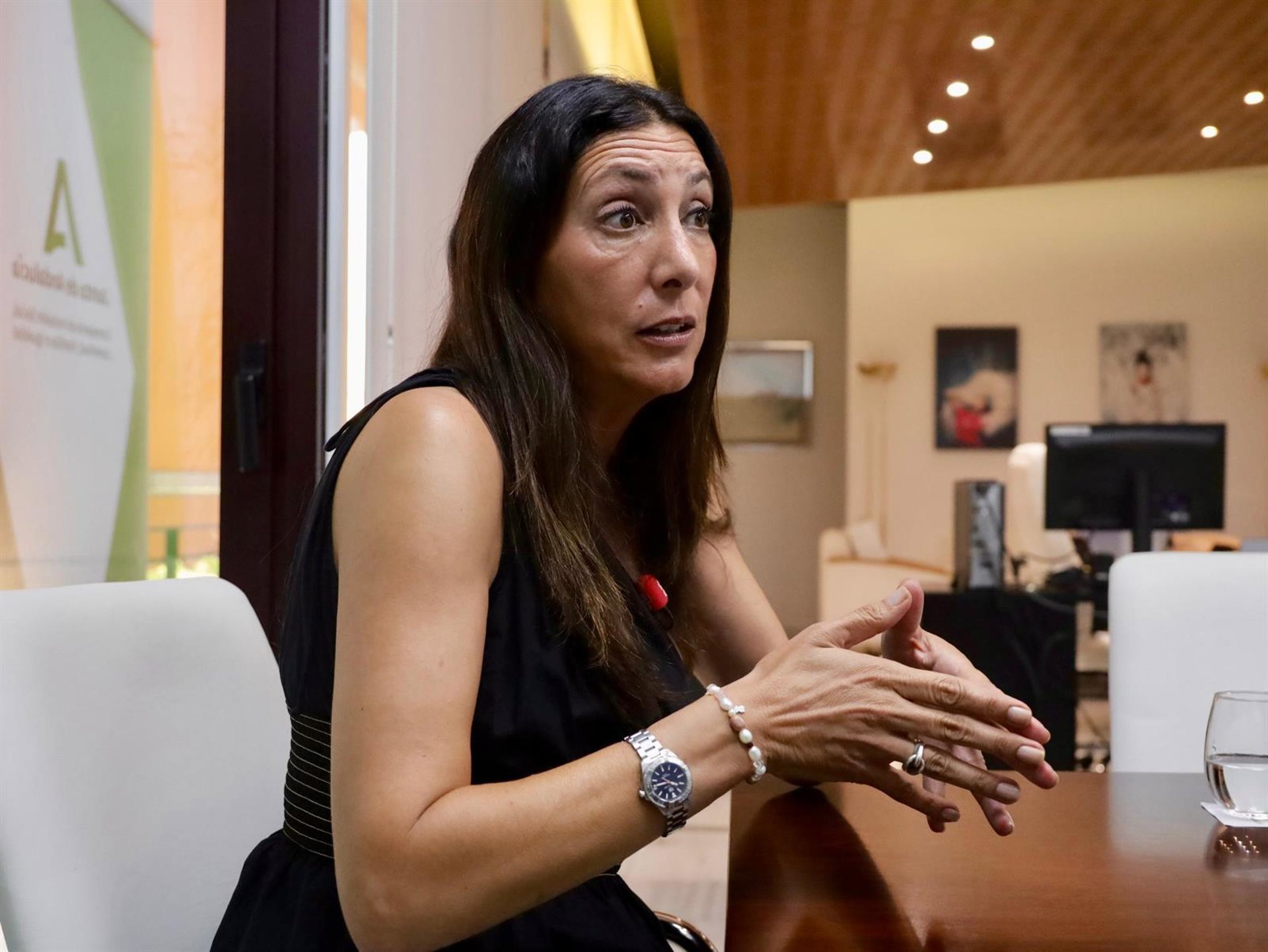 La Junta acusa a Sánchez de «hechos xenófobos» en el reparto de menores y de alentar actos como la valla de El Ejido
