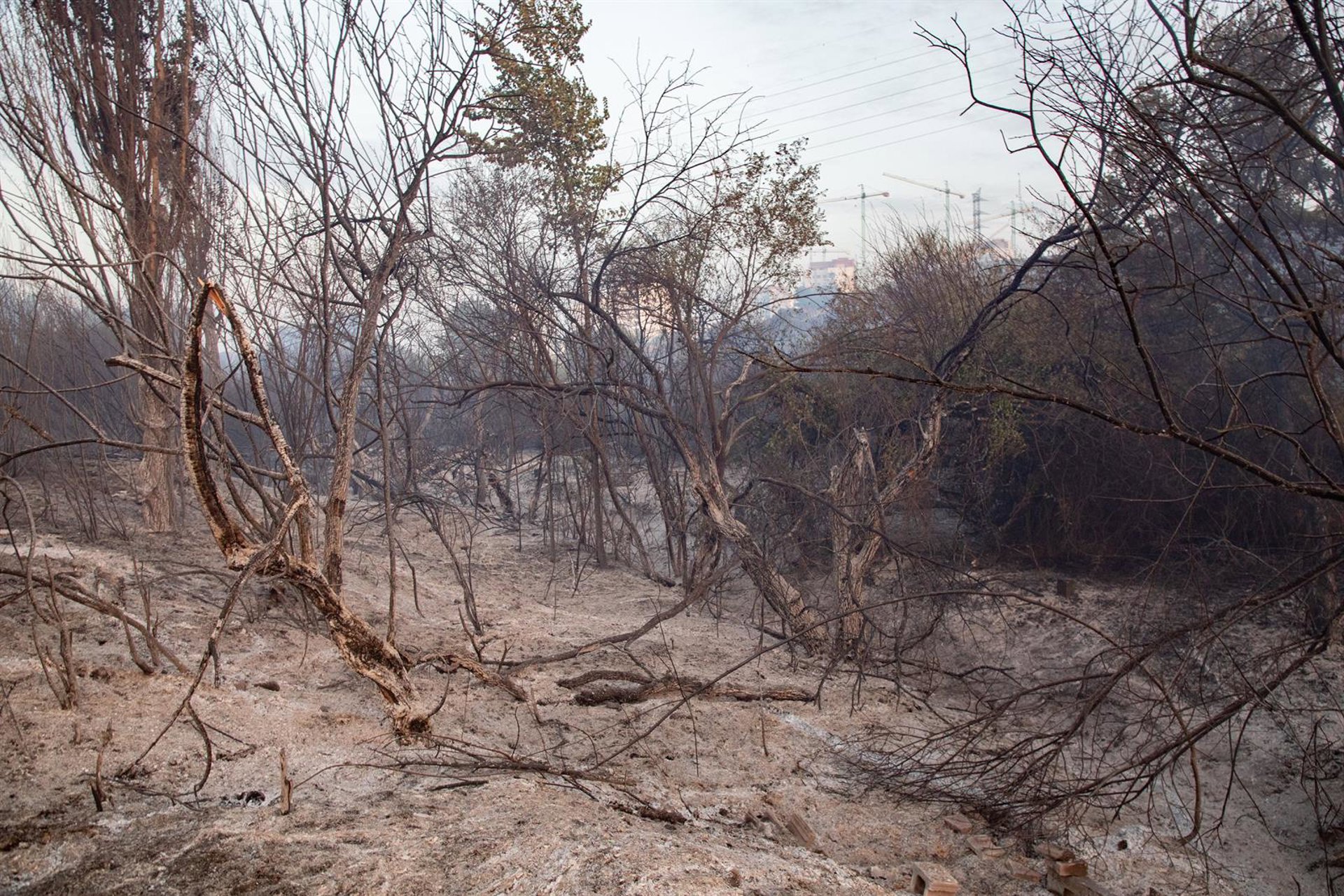 El incendio en Tres Cantos está en fase de control pero preocupan las condiciones meteorológicas de la tarde