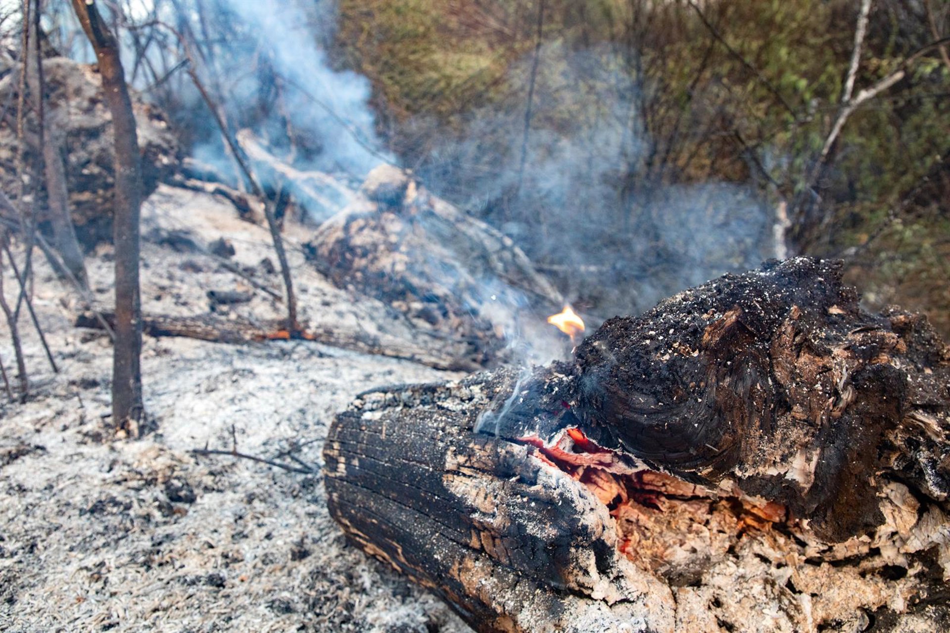 Los desalojados por el incendio de Tres Cantos comienzan a regresar a sus viviendas
