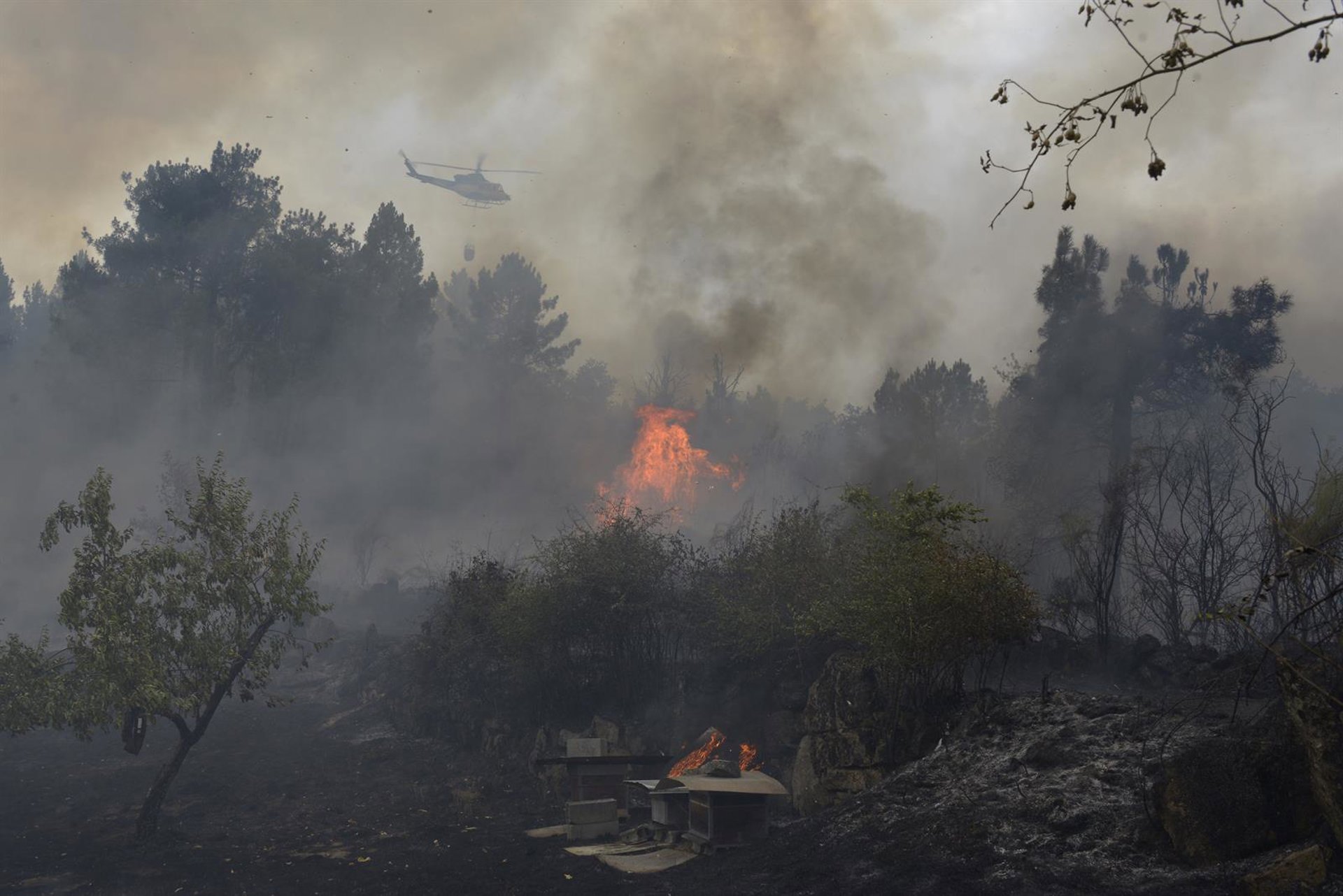 La ola de incendios sin controlar en Galicia avanza con 8.000 hectáreas arrasadas