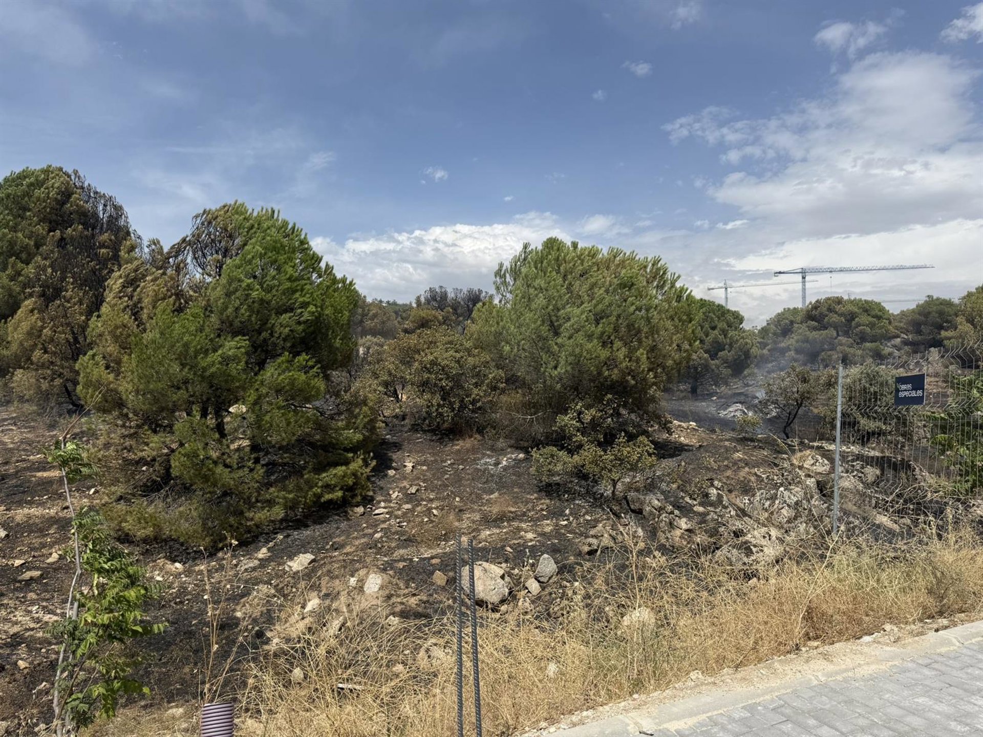 Cuatro helicópteros y 14 dotaciones trabajan para controlar un incendio en Torrelodones
