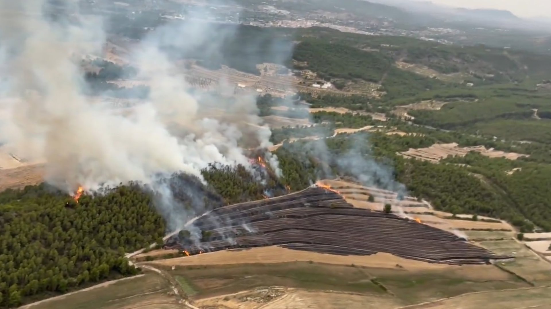 Los tres incendios forestales declarados en la Región de Murcia dejan 32,5 hectáreas arrasadas