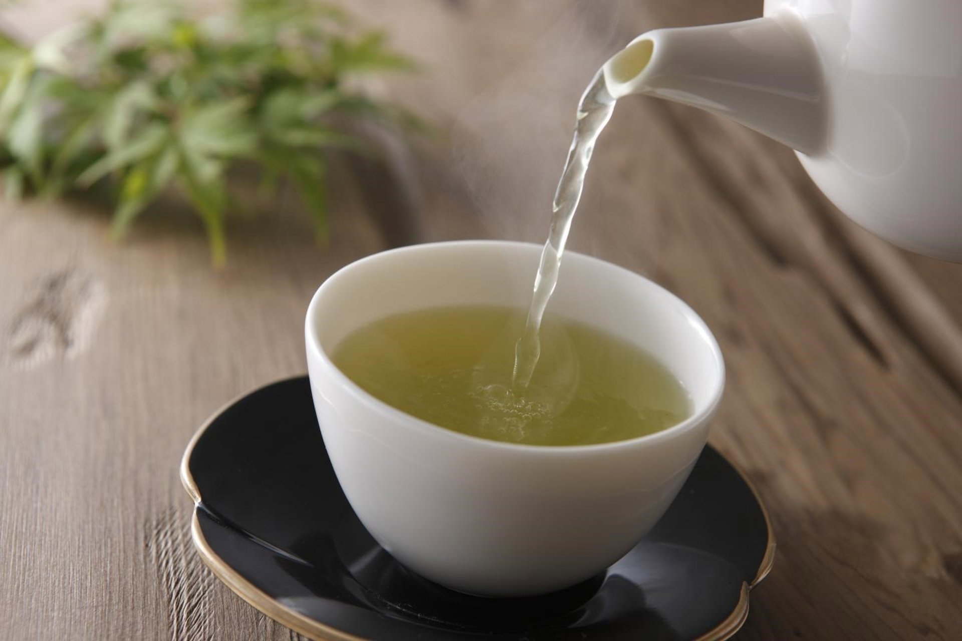 Un estudio analiza el beneficio del extracto de té verde para el trastorno del espectro alcohólico fetal