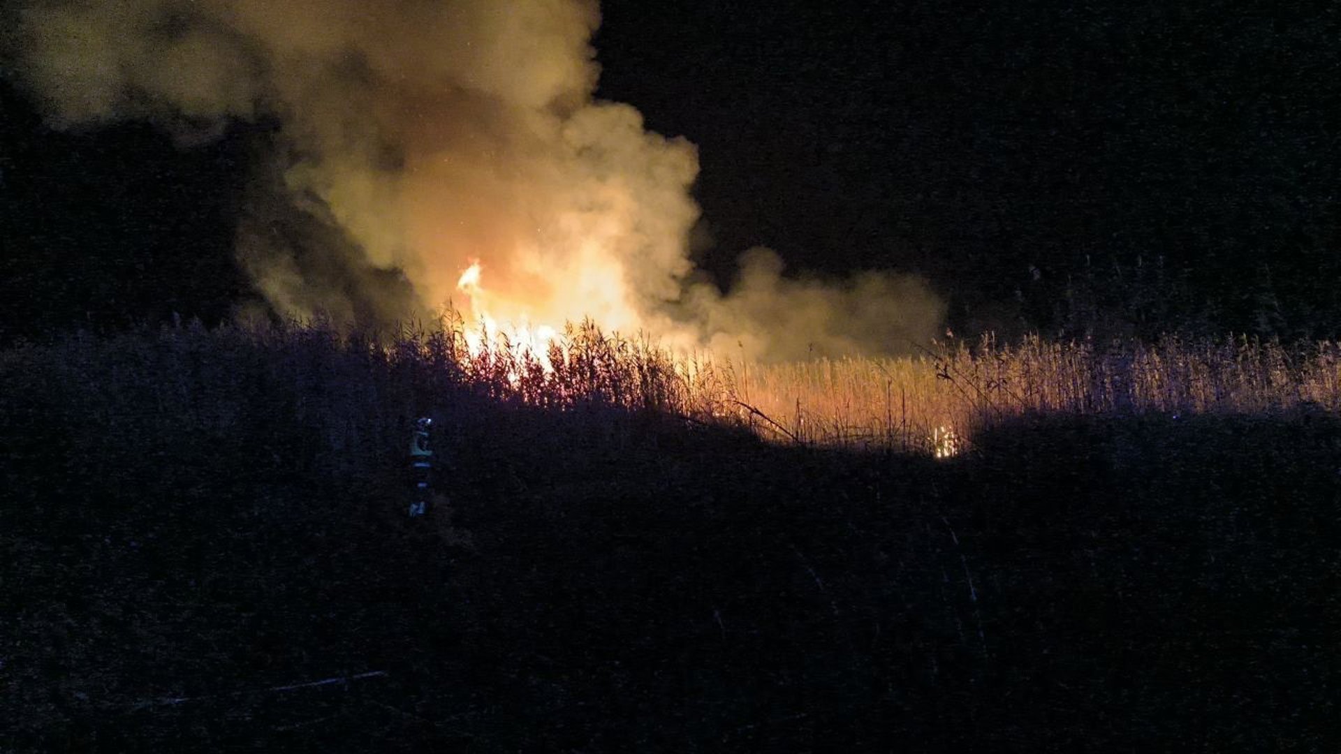Extiguido el incendio con seis focos en s’Albufera, que se investiga como intencionado