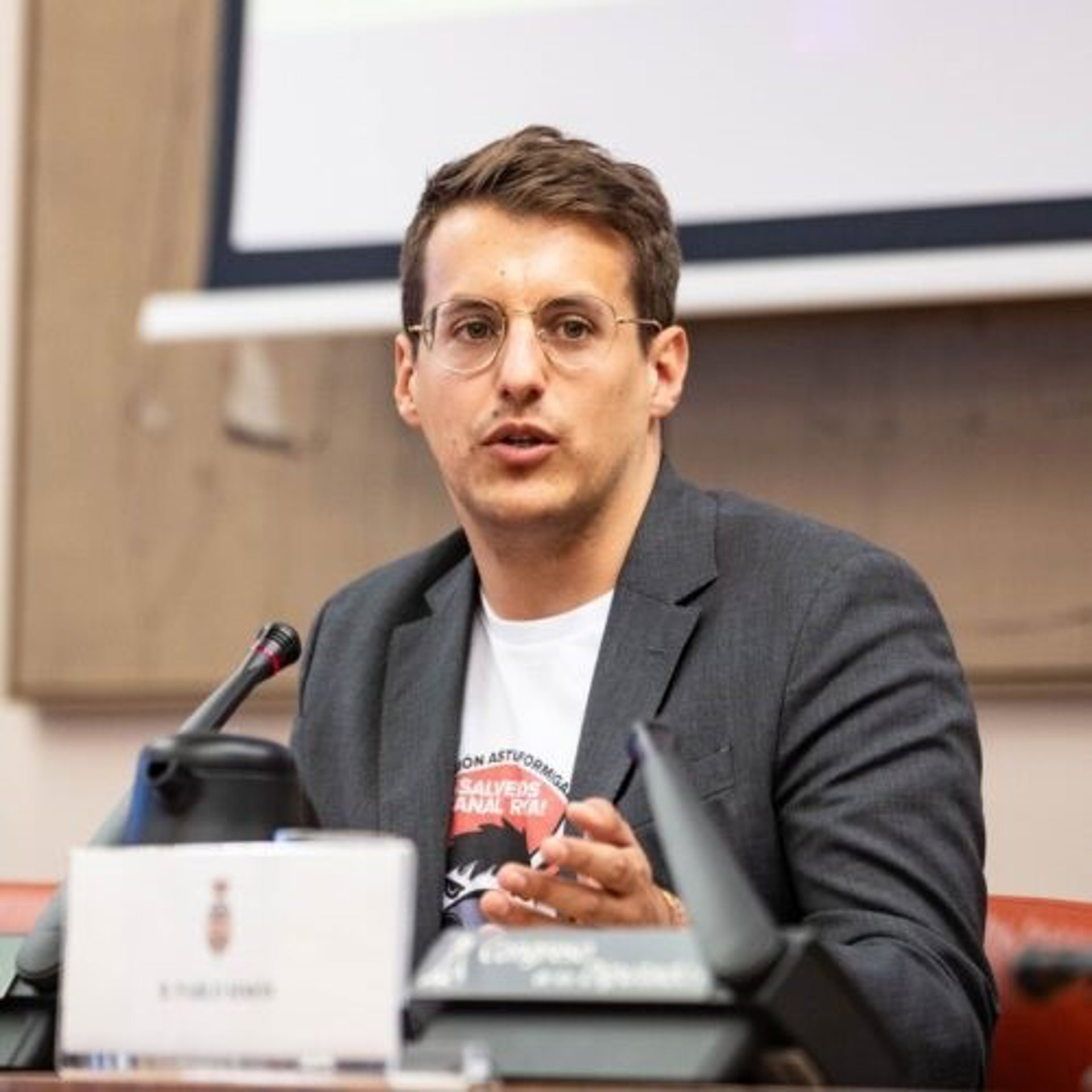 Pueyo (CHA) reclama a la ministra Alegría que el aragonés y el asturiano puedan enseñarse en las Escuelas de Idiomas