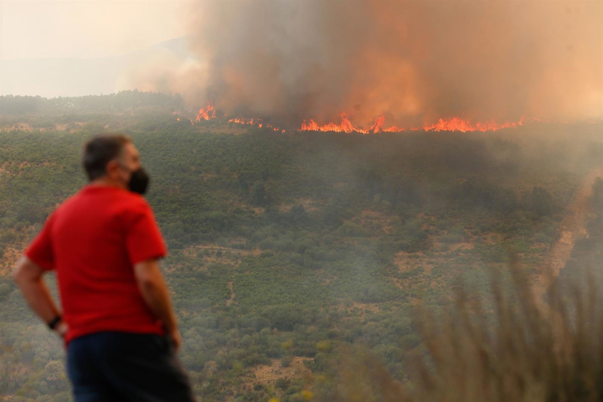 La Junta aplicará el tope máximo de ayuda establecido para inversiones de pymes afectadas por los incendios