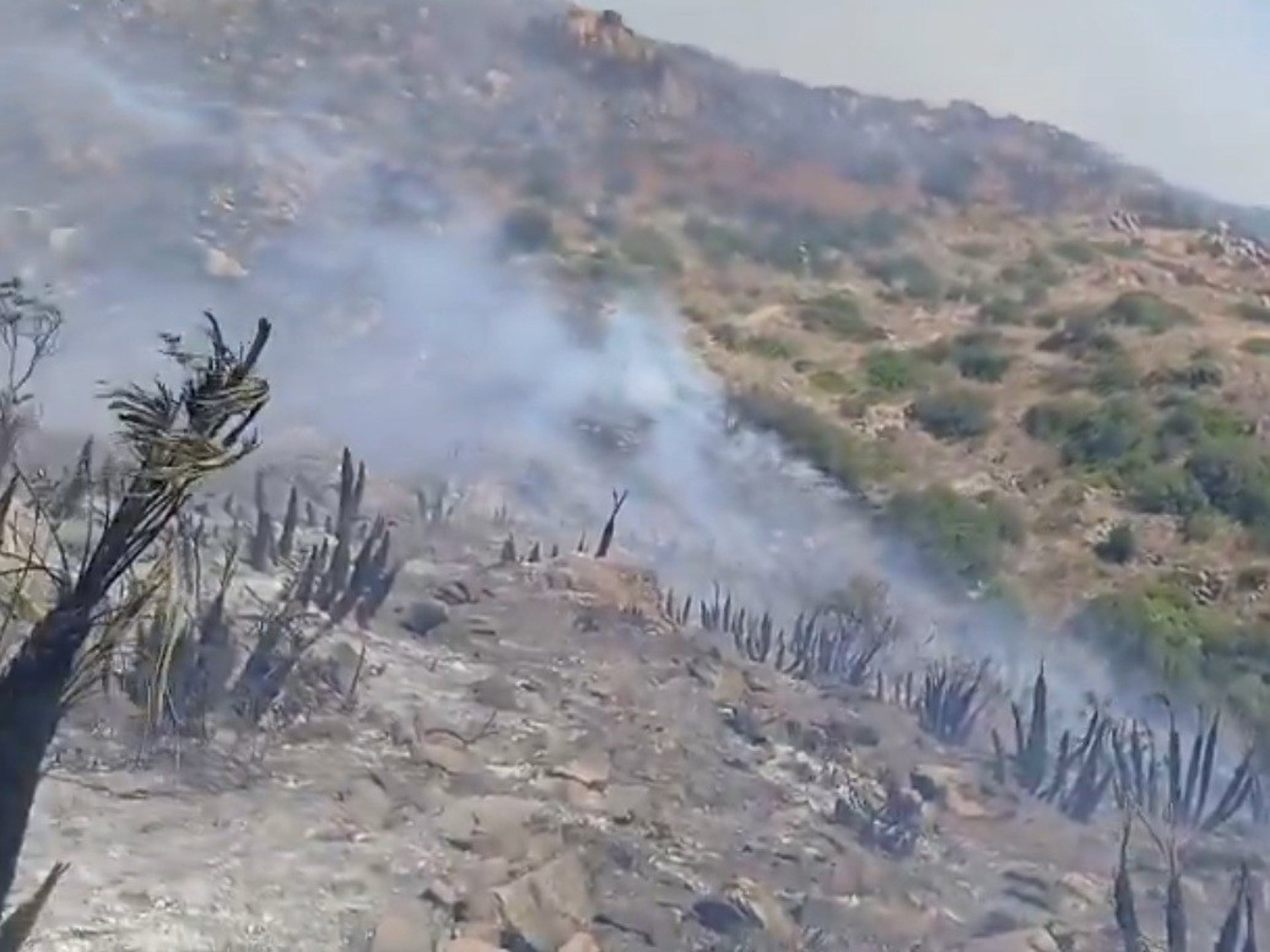 Rachas de 30 kilómetros por hora avivan el incendio de Lubrín: «No está poniendo fácil la extinción»