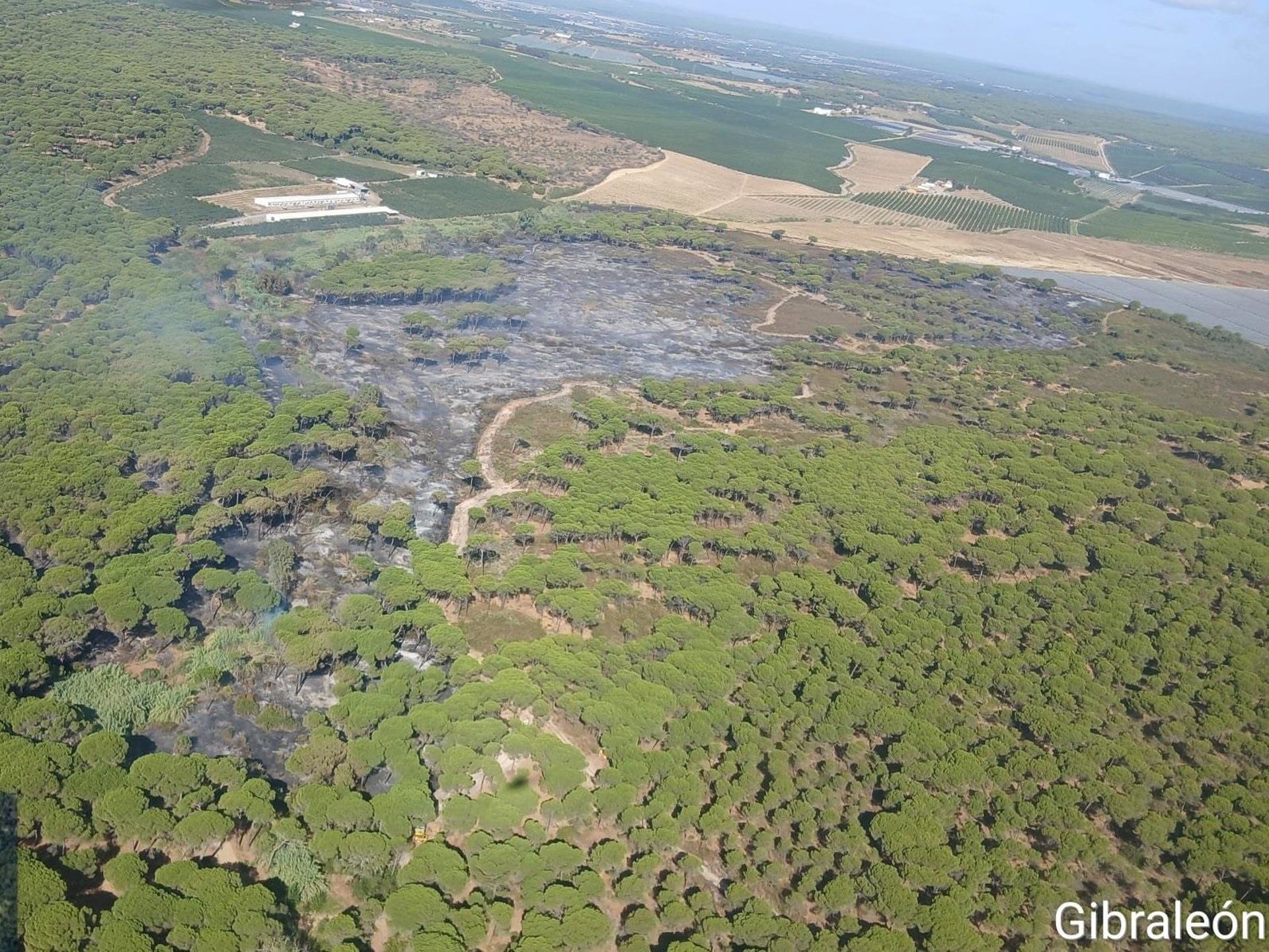Controlado el incendio de Gibraleón declarado este lunes y estabilizado el de Almonte