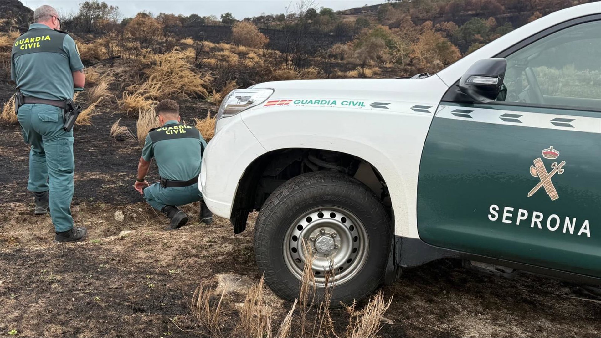 Investigado un octogenario por el incendio de Chandrexa de Queixa del lunes, que quemó 18,5 hectáreas
