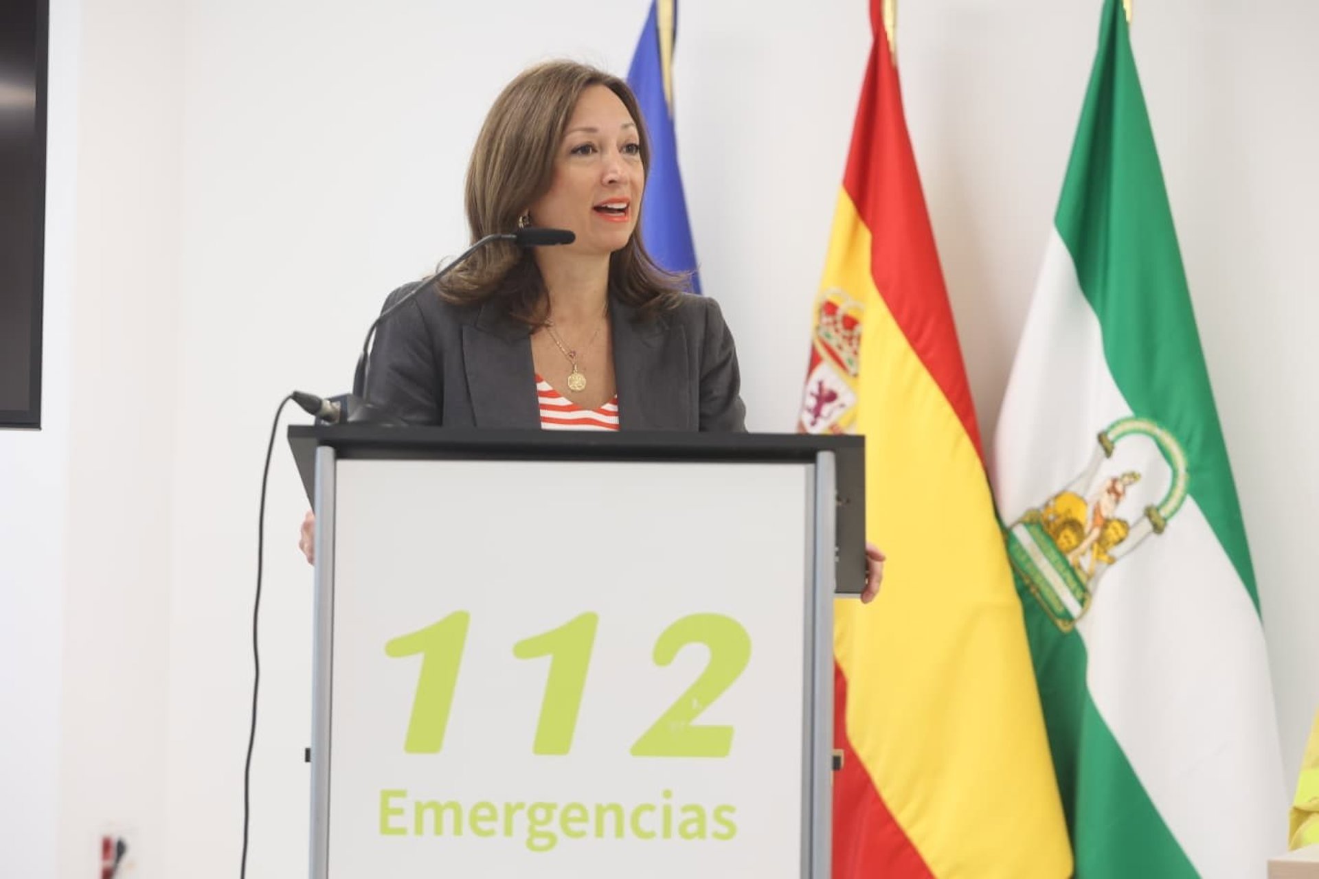 Junta dice que clima y lugar de incendio en Parauta no son lo más favorables pero confía en efectivos de Infoca