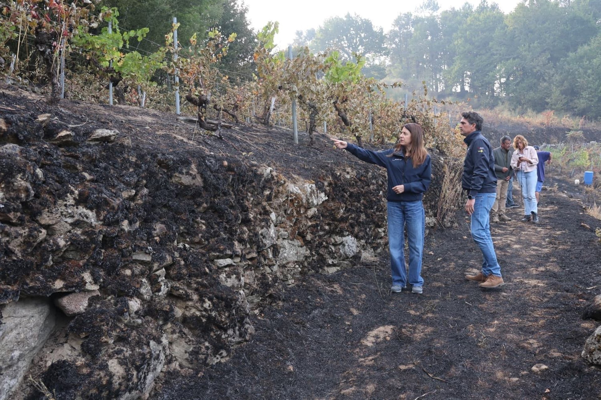 El incendio forestal de Pantón (Lugo) tiene el punto «más conflictivo» en la zona del cañón del Sil