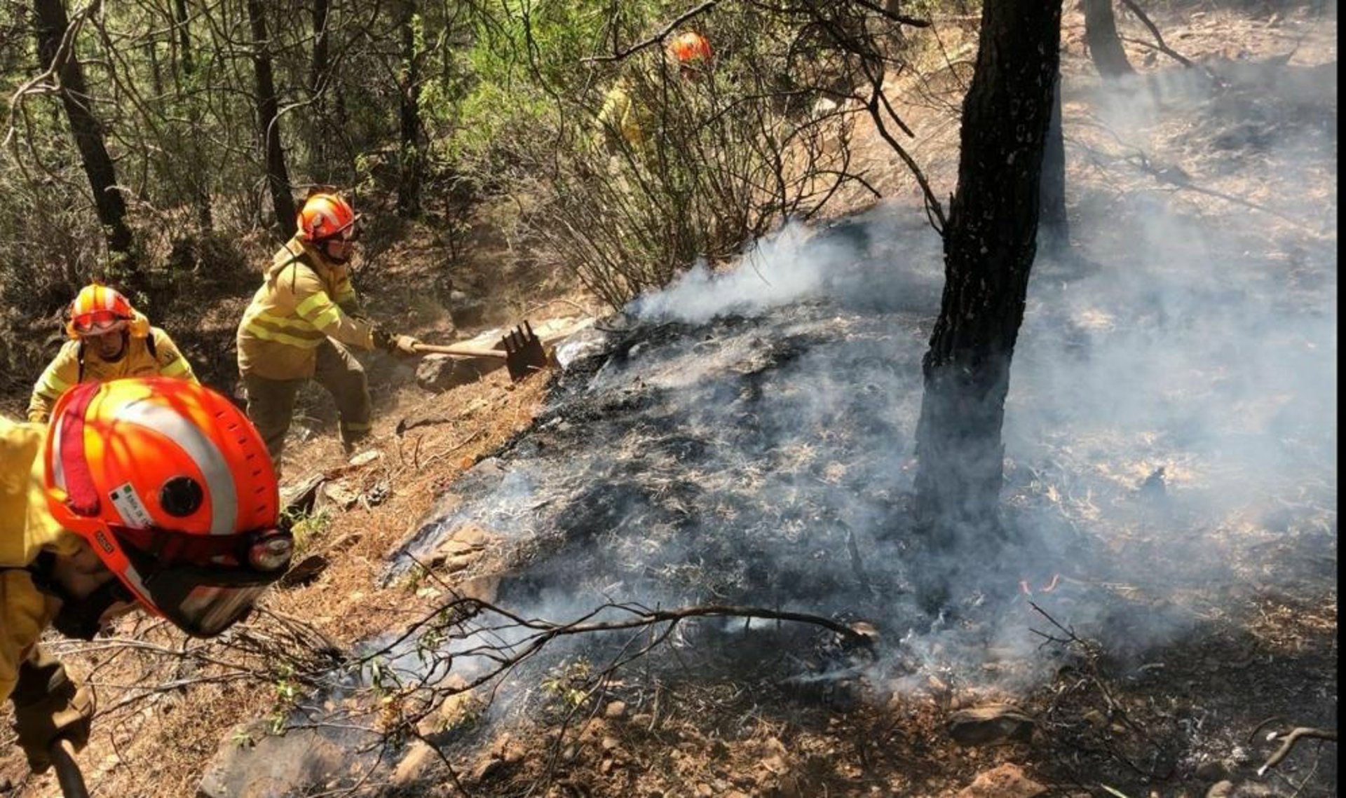 El Infoex activa el nivel 1 en el incendio forestal de Valverde de la Vera por afección a viviendas aisladas