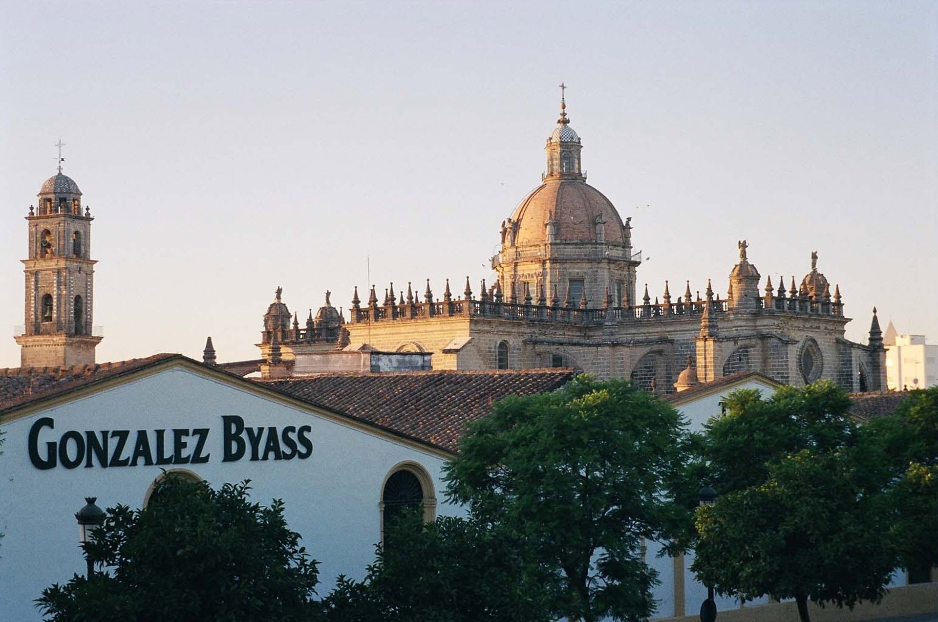 González Byass anuncia una «reestructuración» en su plantilla para adaptarse a «la realidad del mercado»