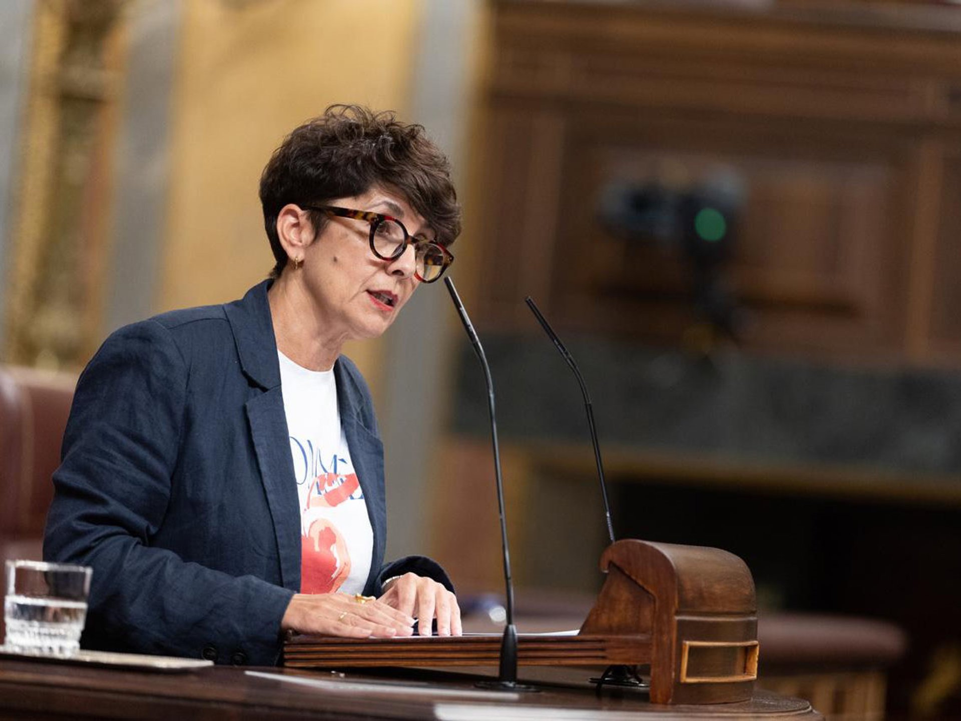 El PNV cree que Sánchez no contó «nada nuevo» en el Senado y se alegra de no haber participado en «ese circo mediático»
