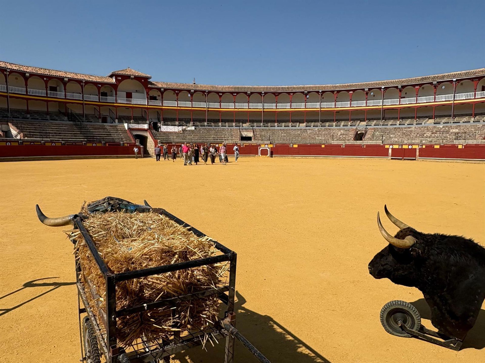 Castilla-La Mancha aprueba este martes el decreto por el que se crea el Consejo Asesor de Asuntos Taurinos de la región