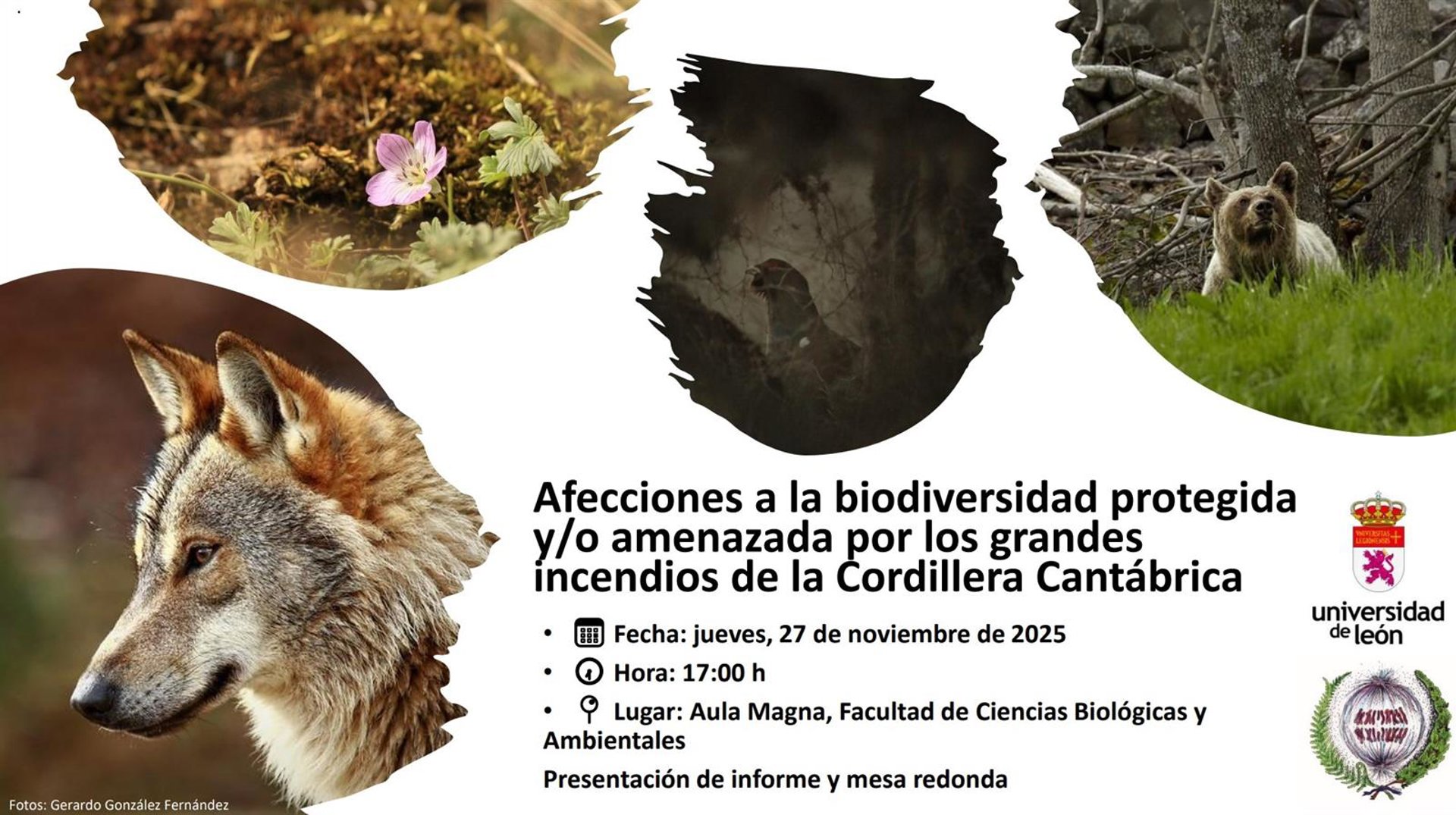 Un estudio de la ULE revela «daños significativos» en biodiversidad protegida de Cordillera Cantábrica por los incendios