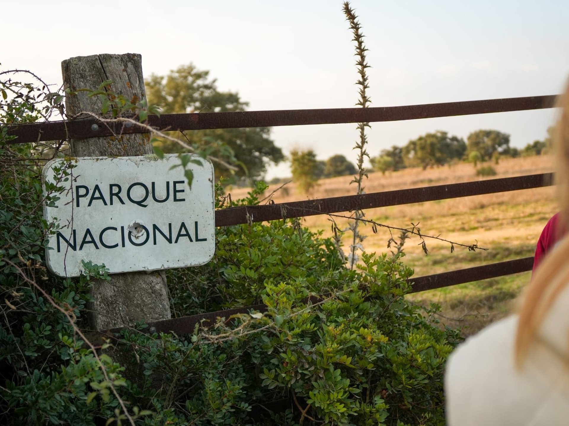 Almonte presenta alegaciones al Plan Director para una conservación de Doñana «compatible con su realidad»
