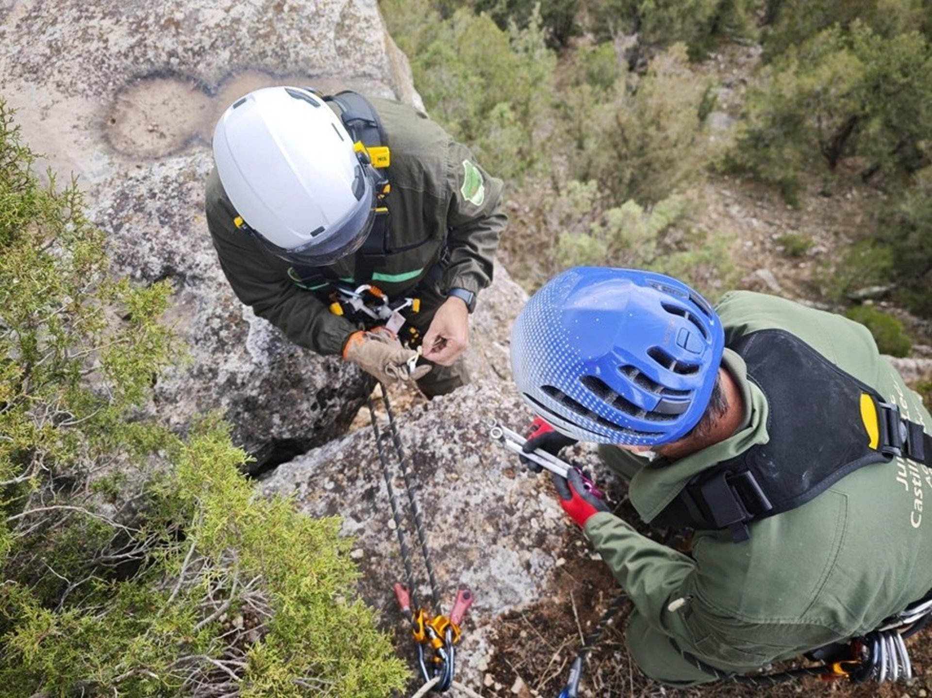 Agentes medioambientales de la Junta desmontan vías de escalada no autorizadas en el parque de Guadarrama en Segovia