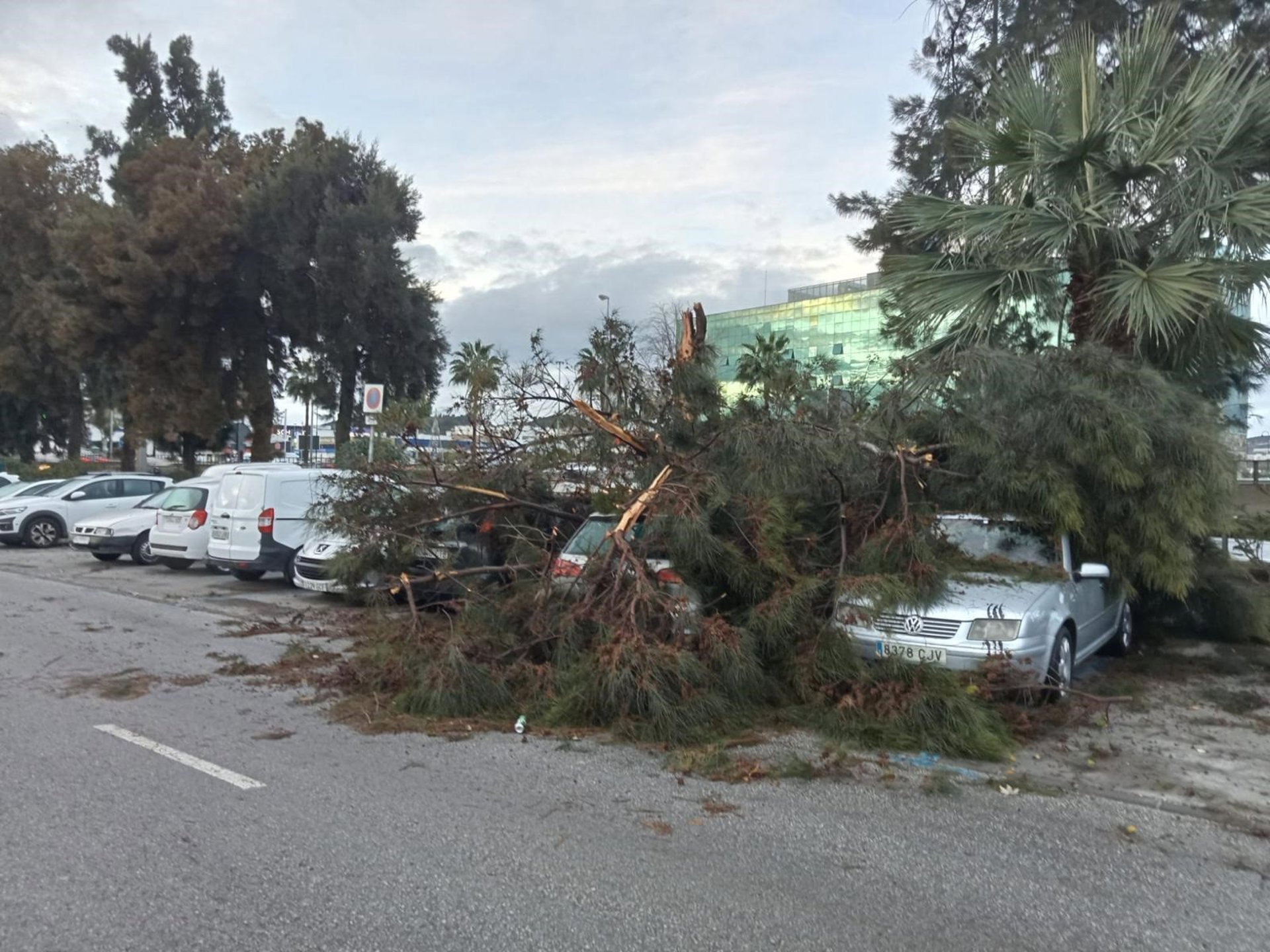 Un tornado en la costa de Mijas derriba parte de alumbrado navideño, arranca árboles y arrastra barcos