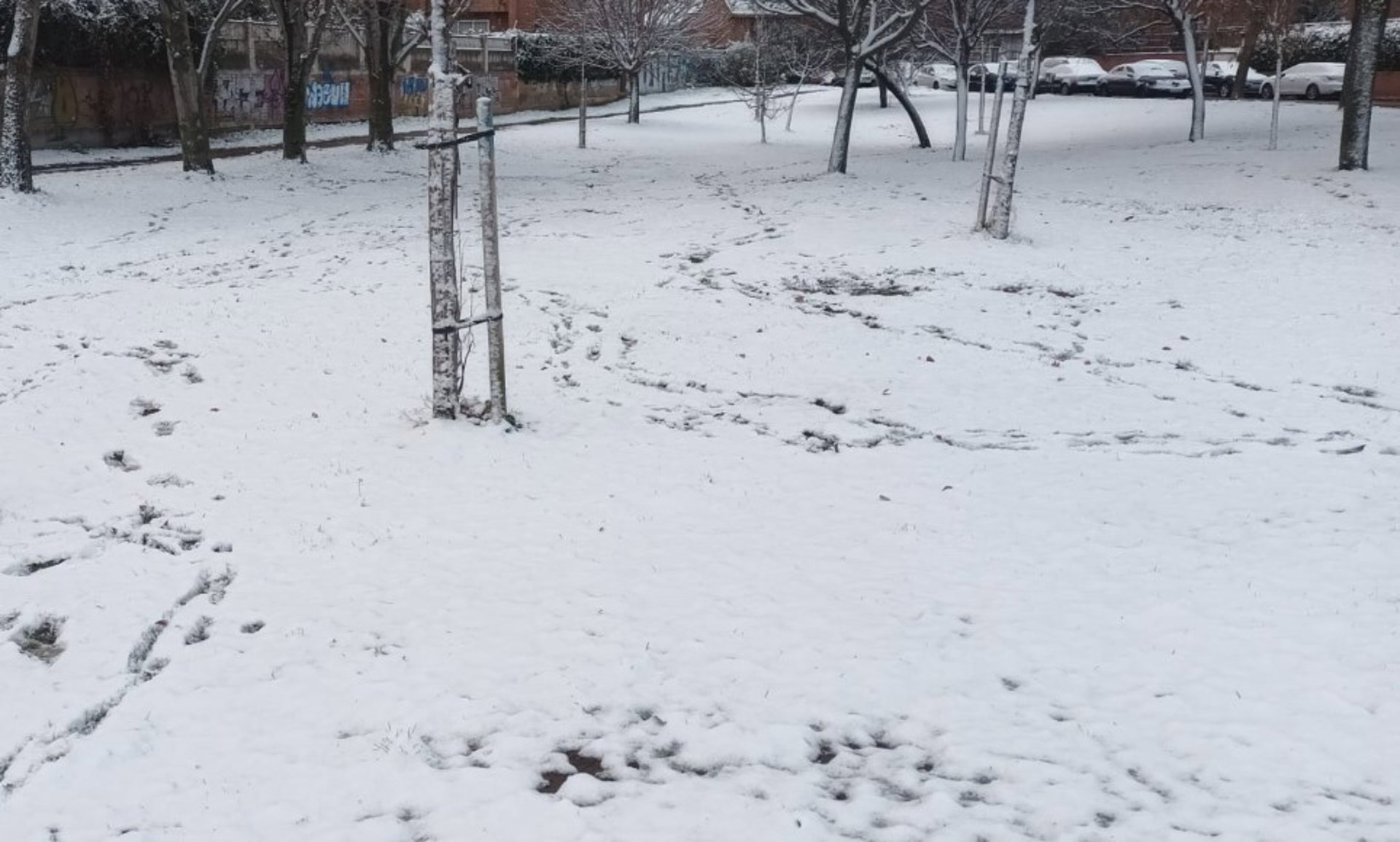 Madrid amanece cubierta de un ligero manto de nieve pero sin incidentes reseñables