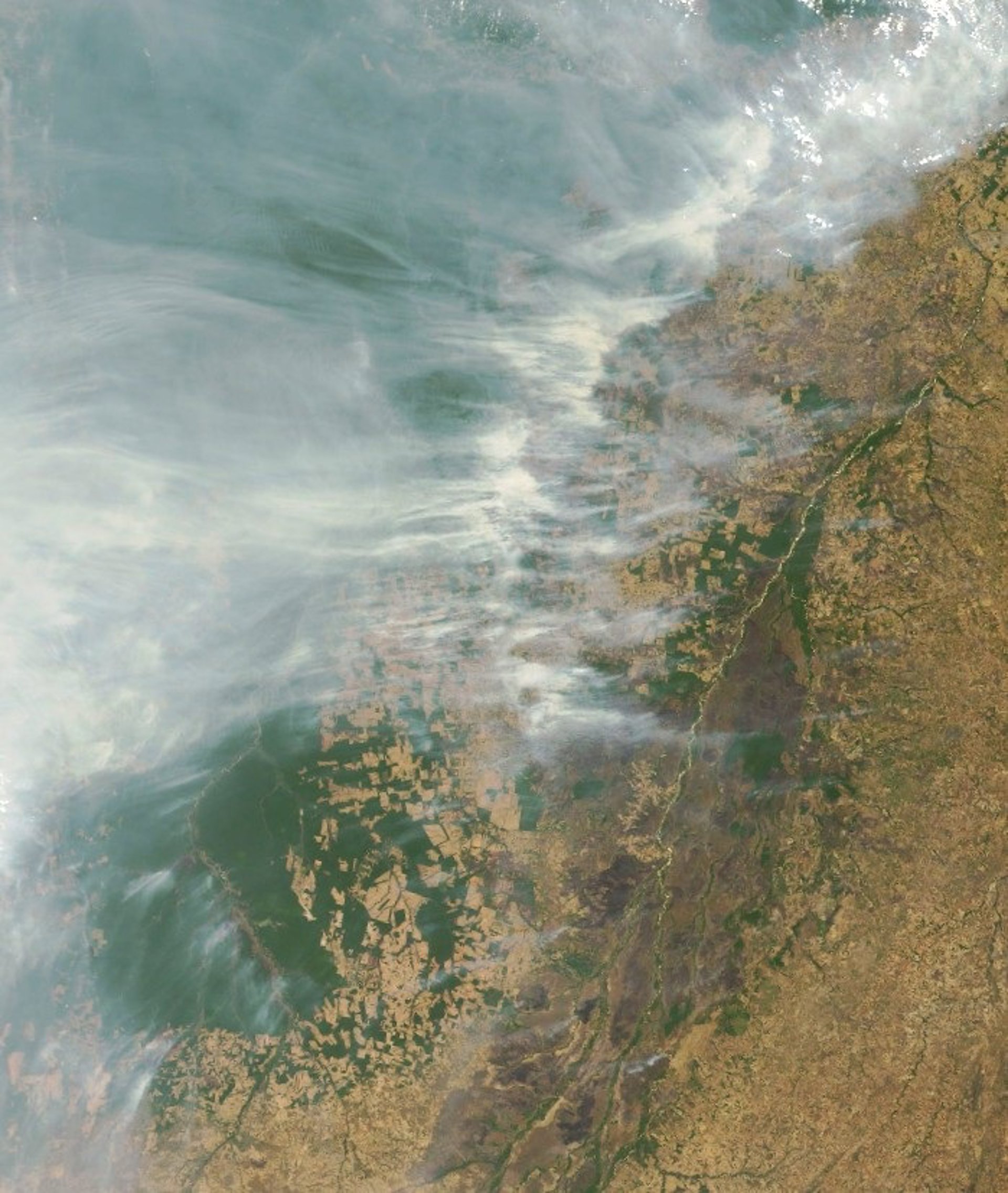 El humo de los incendios aporta fósforo que fertiliza los bosques del Amazonas, según un estudio